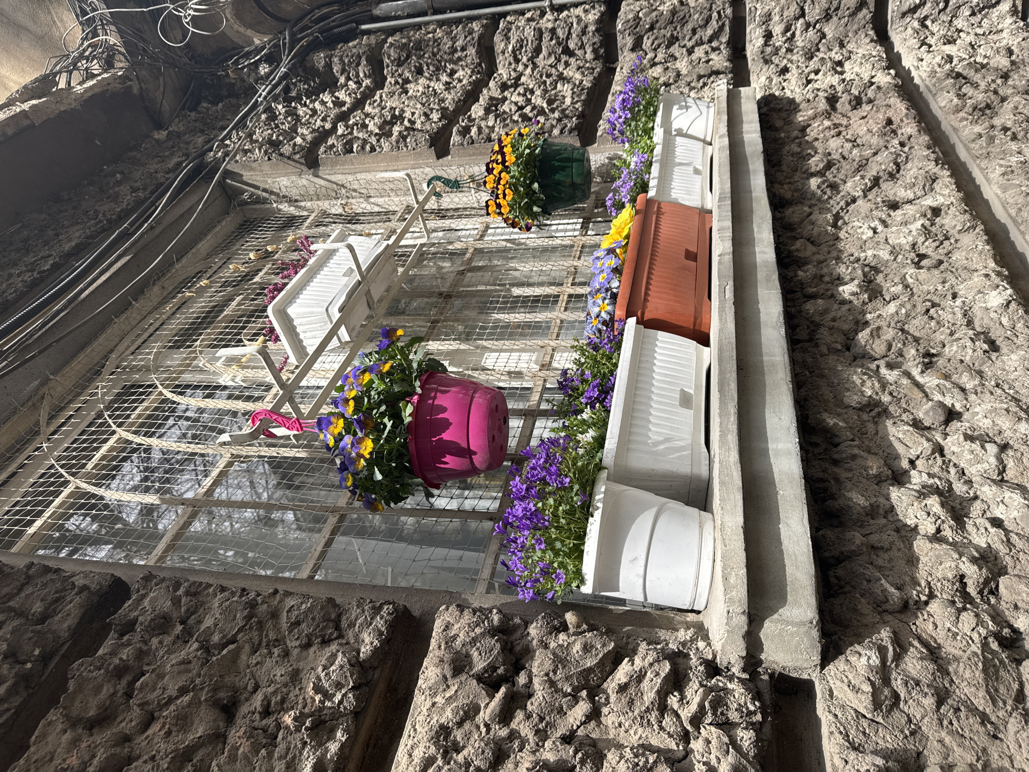 Sofia residents display colorful flower pots on secured window