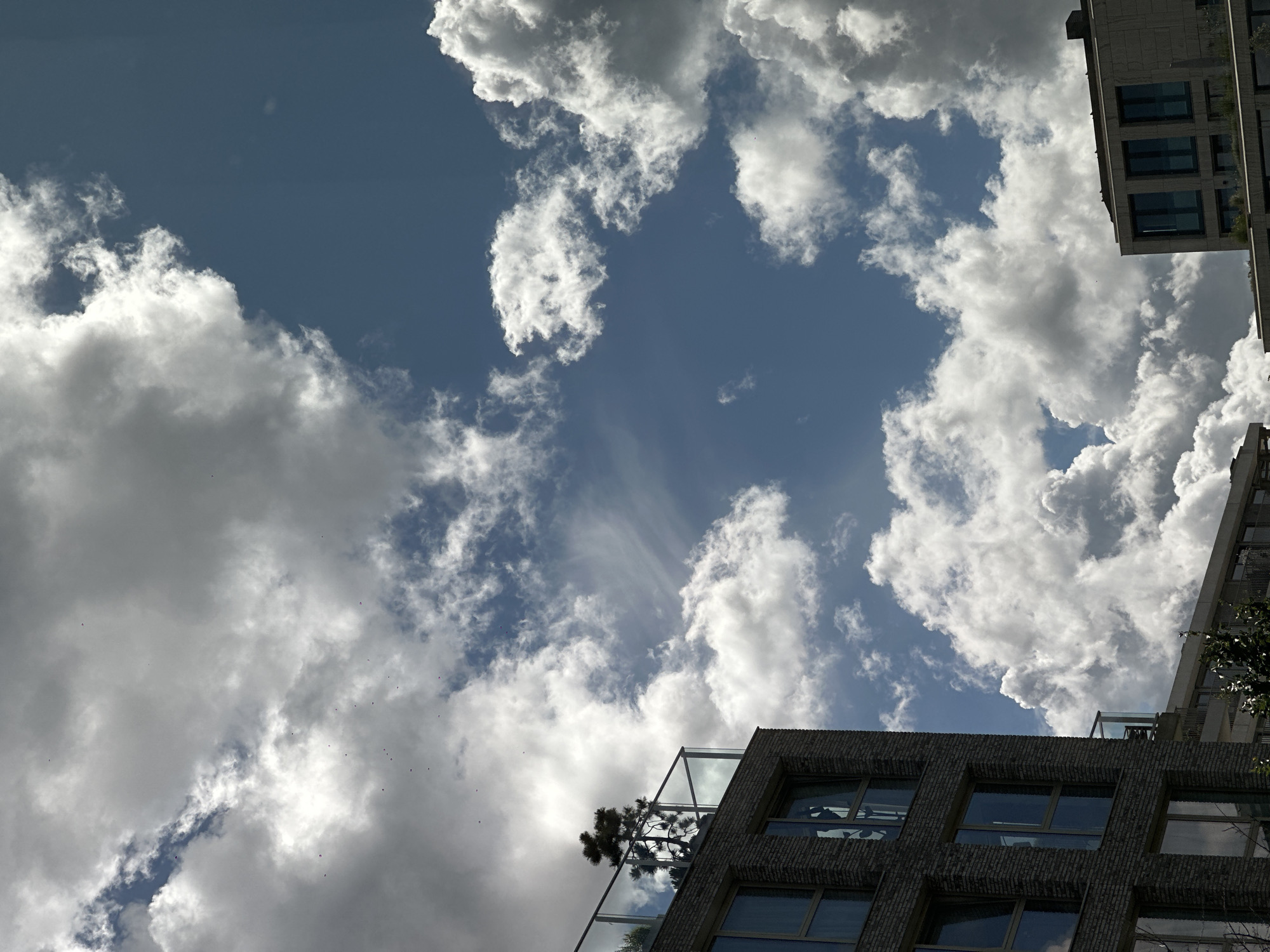 Amsterdam resident documents crystal collection amid dramatic afternoon skies