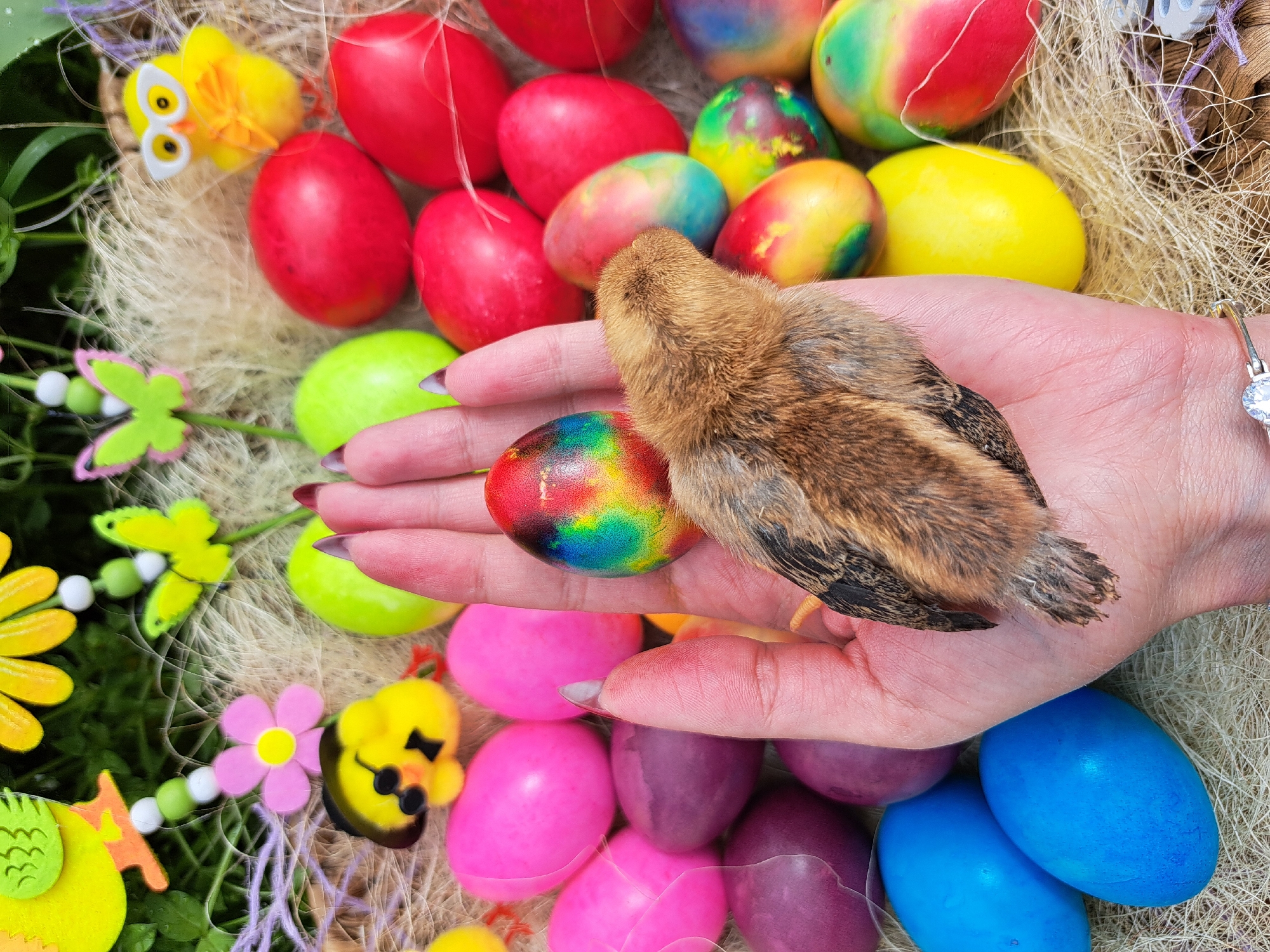 Easter egg dyeing activities documented in Chepintsi, Bulgaria