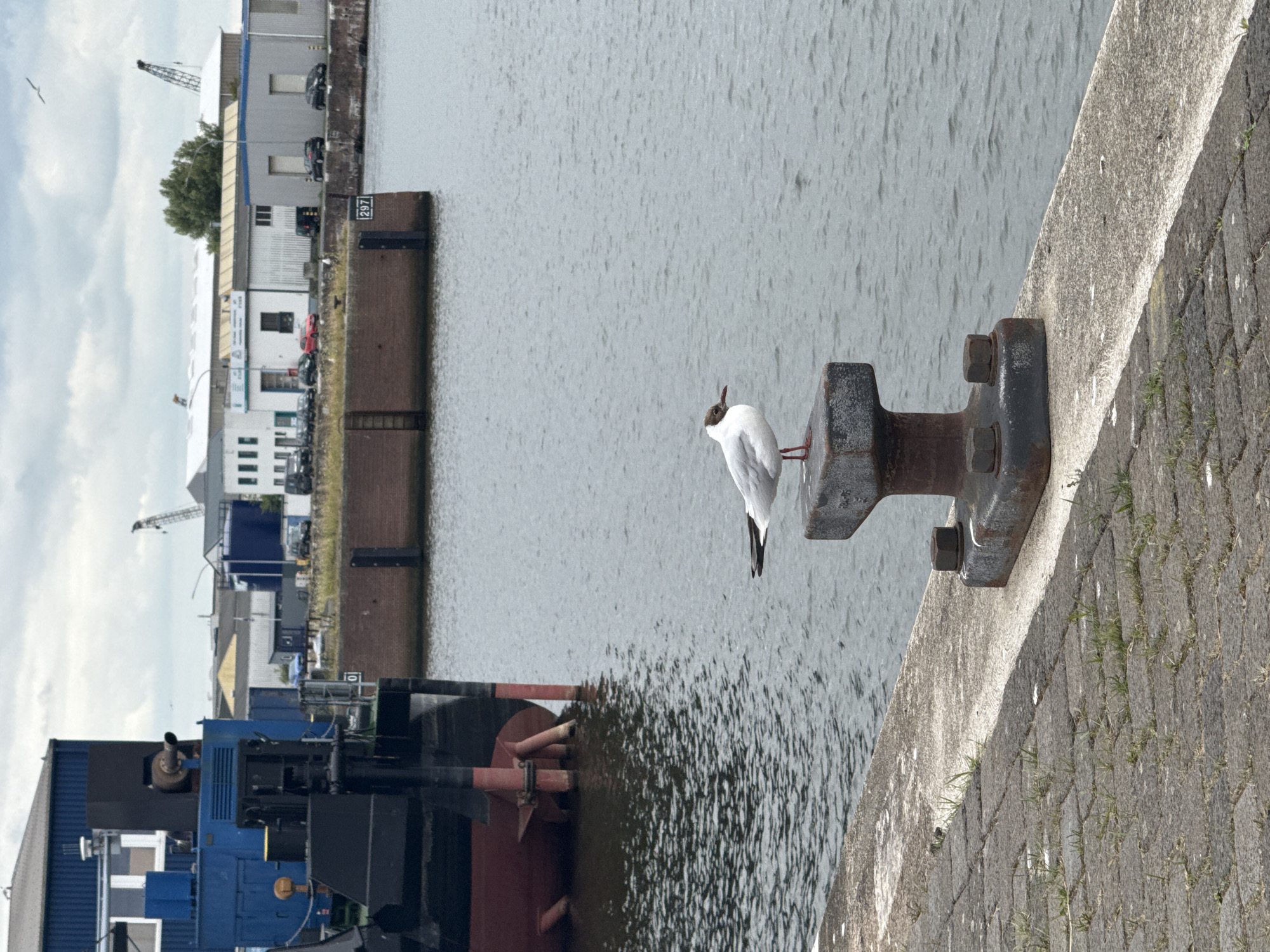 Sailboats, lock gates, and waterfront life at a canal harbor