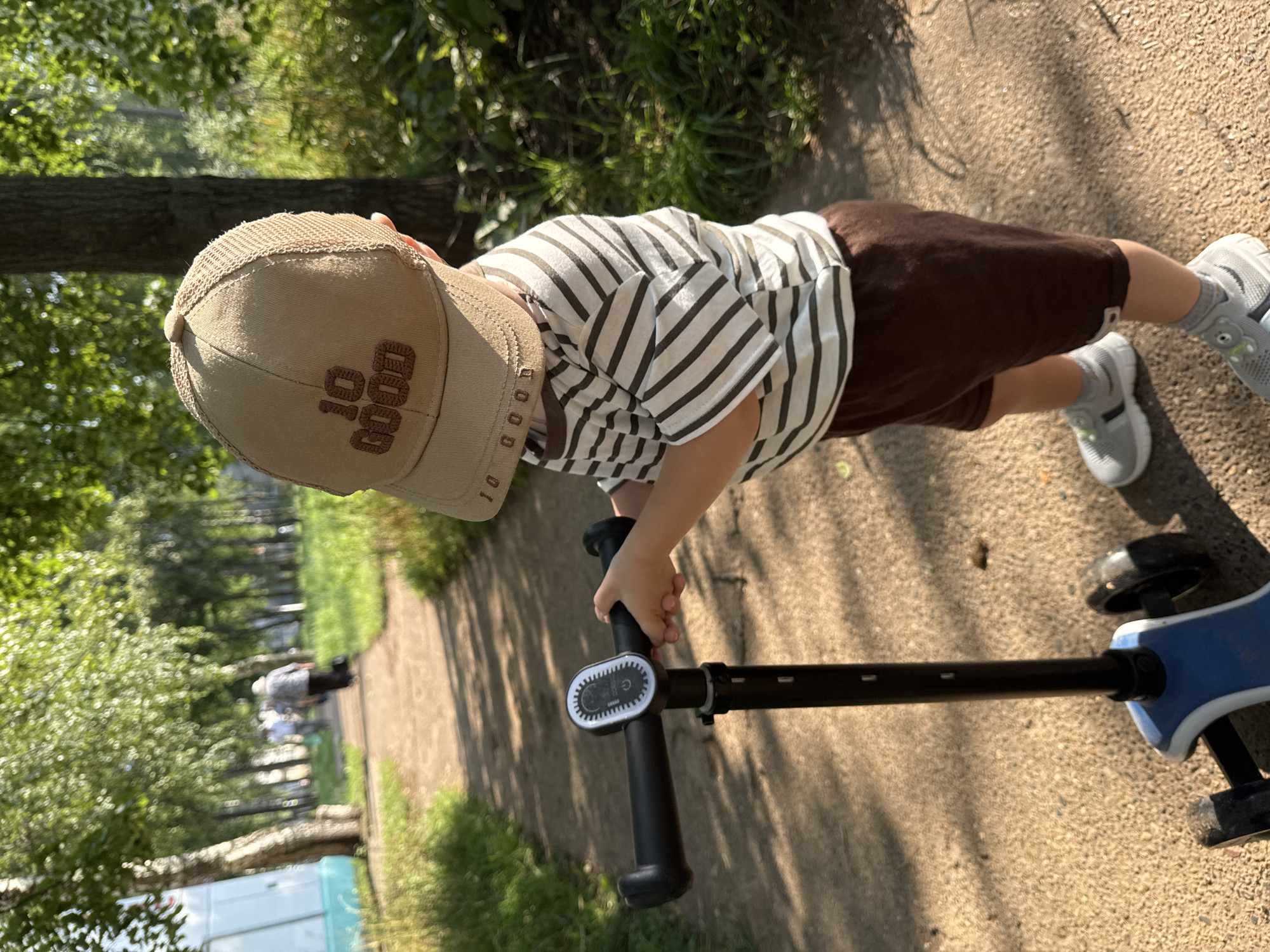 Afternoon snapshots from a Chaikovsky park and neighborhood
