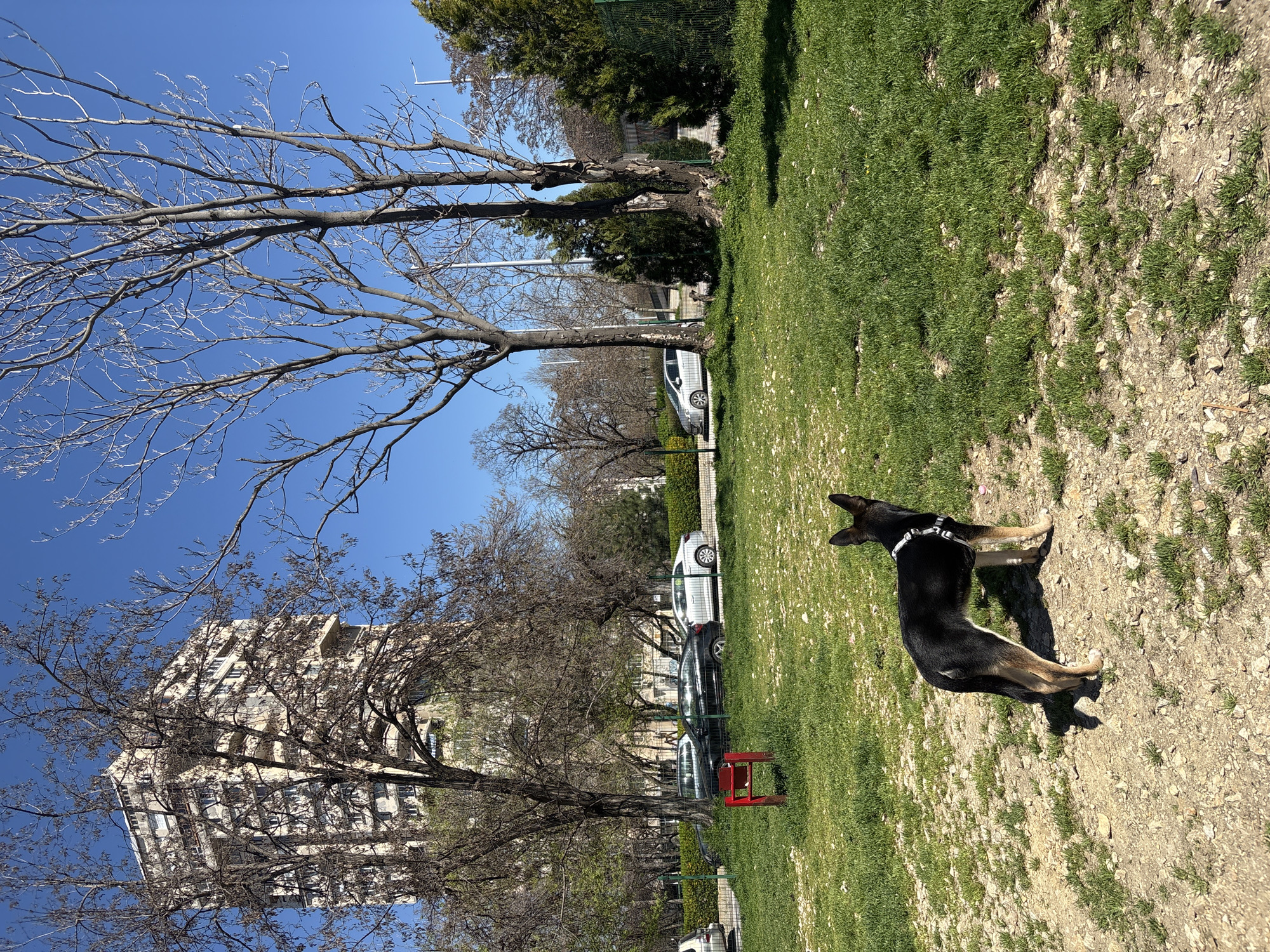 Daily life documented across Plovdiv parks and cafés