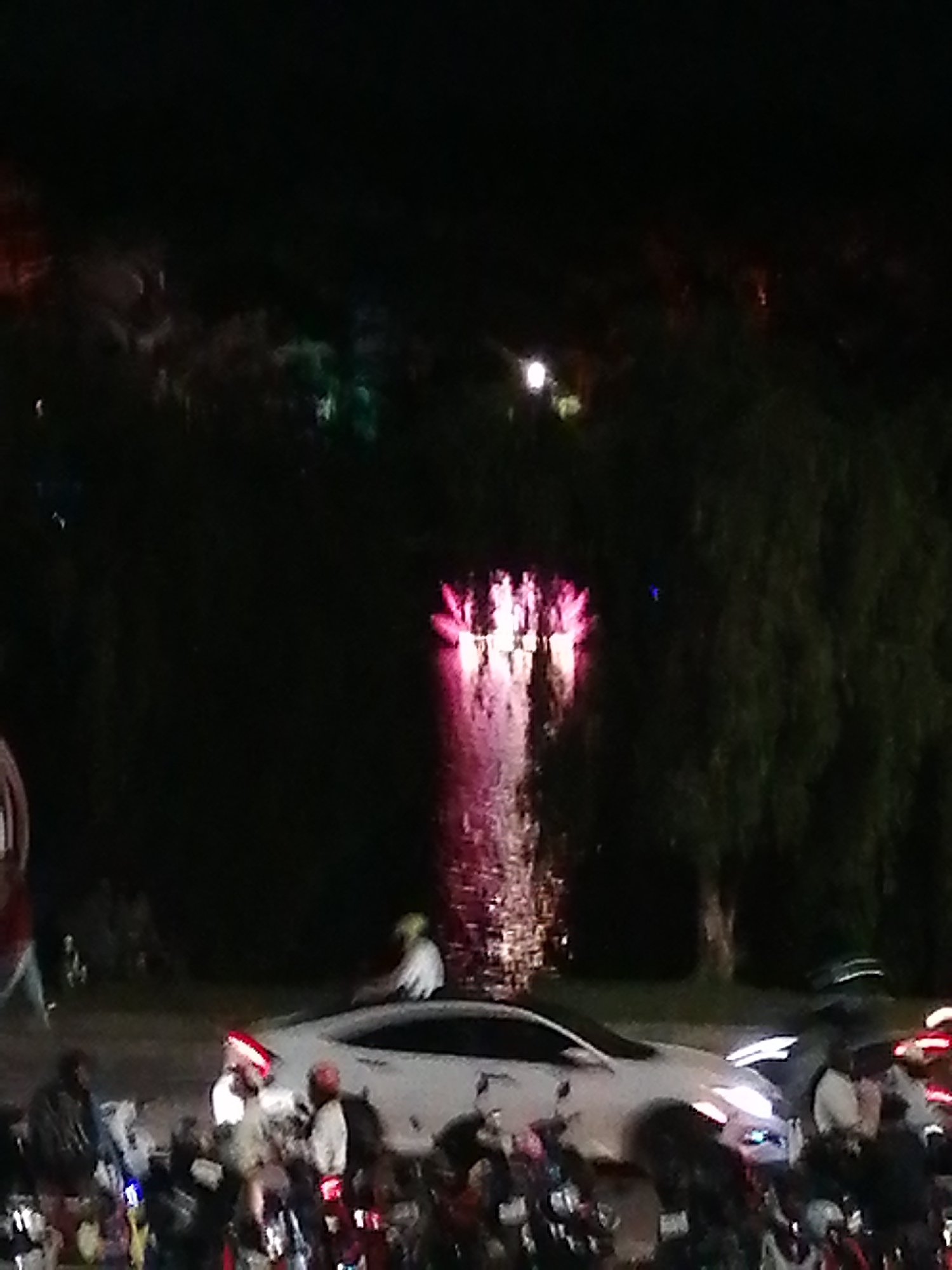 Nighttime gathering at Da Lat's Lam Vien Square draws families