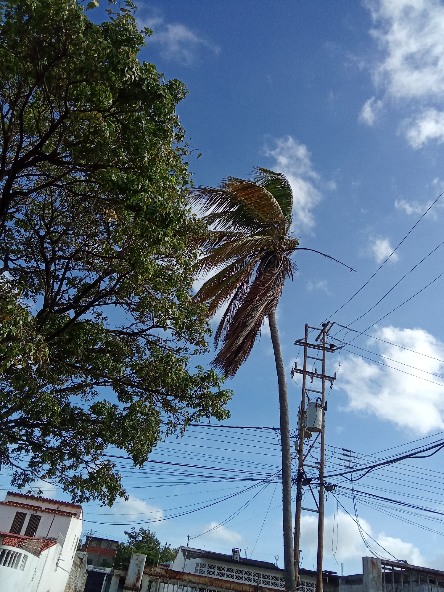 Everyday life documented in Juan Griego, Venezuela