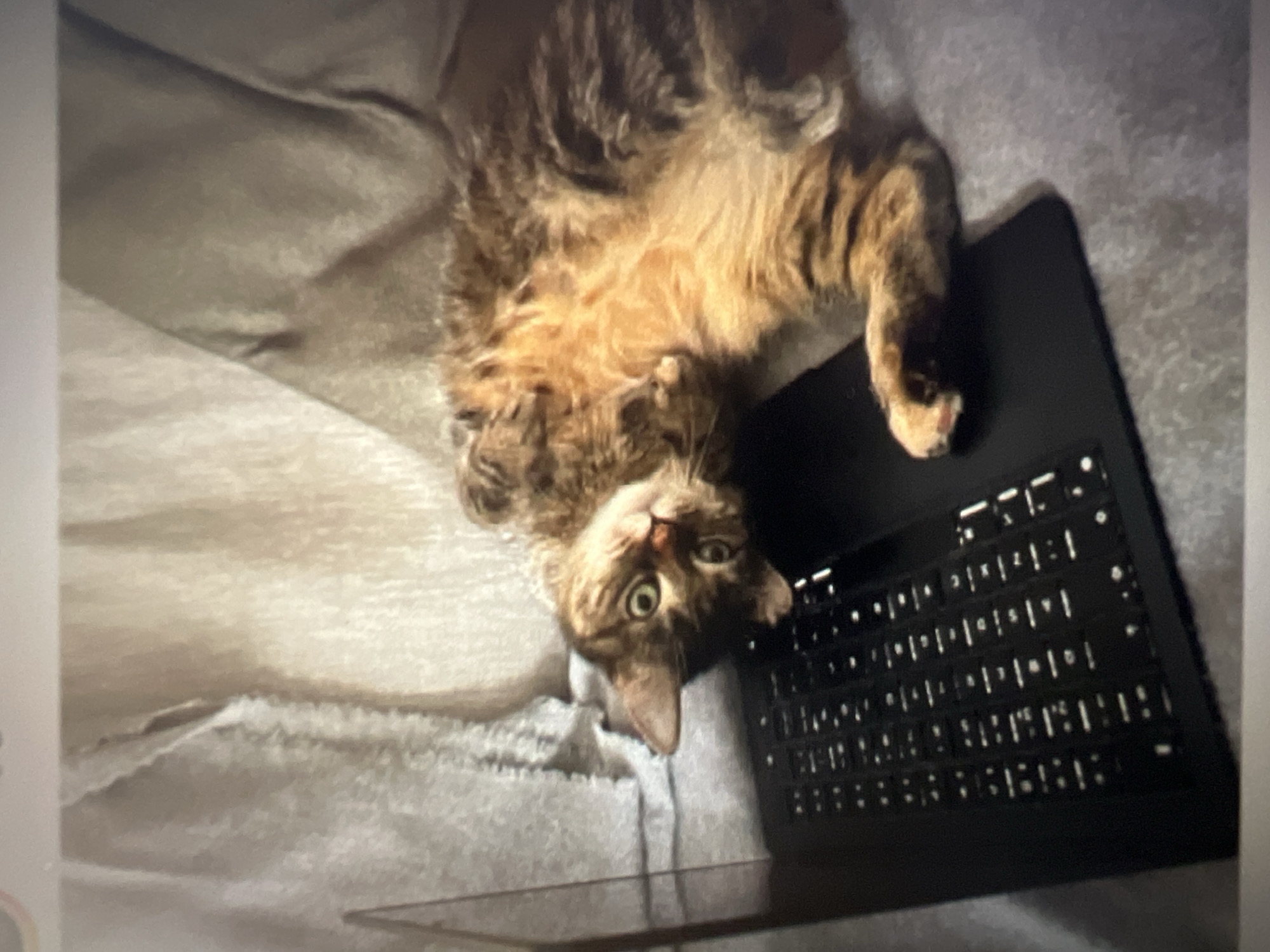 Morning scenes across a Jalingo compound: labs, storage, and downtime