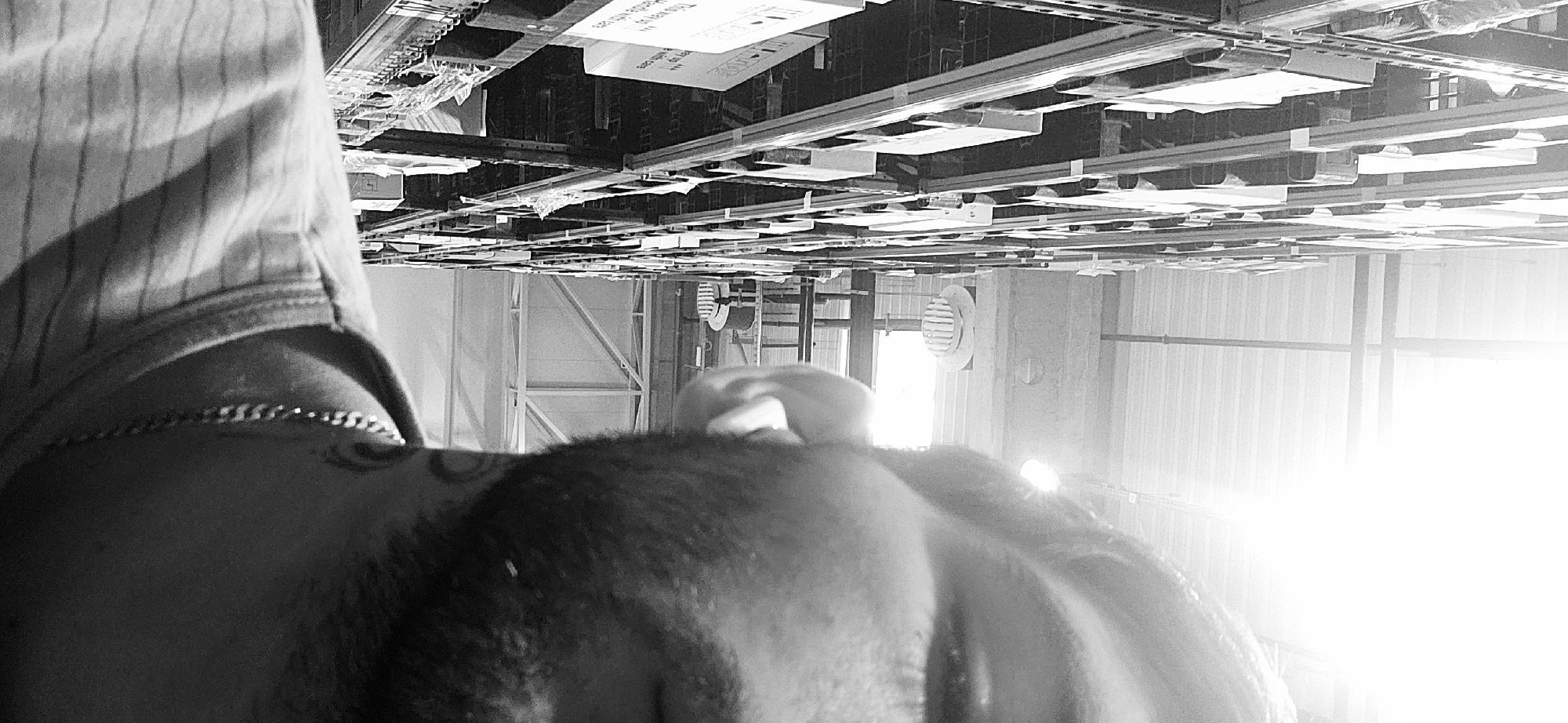Morning documentation session captures street portraits, warehouse in Plovdiv