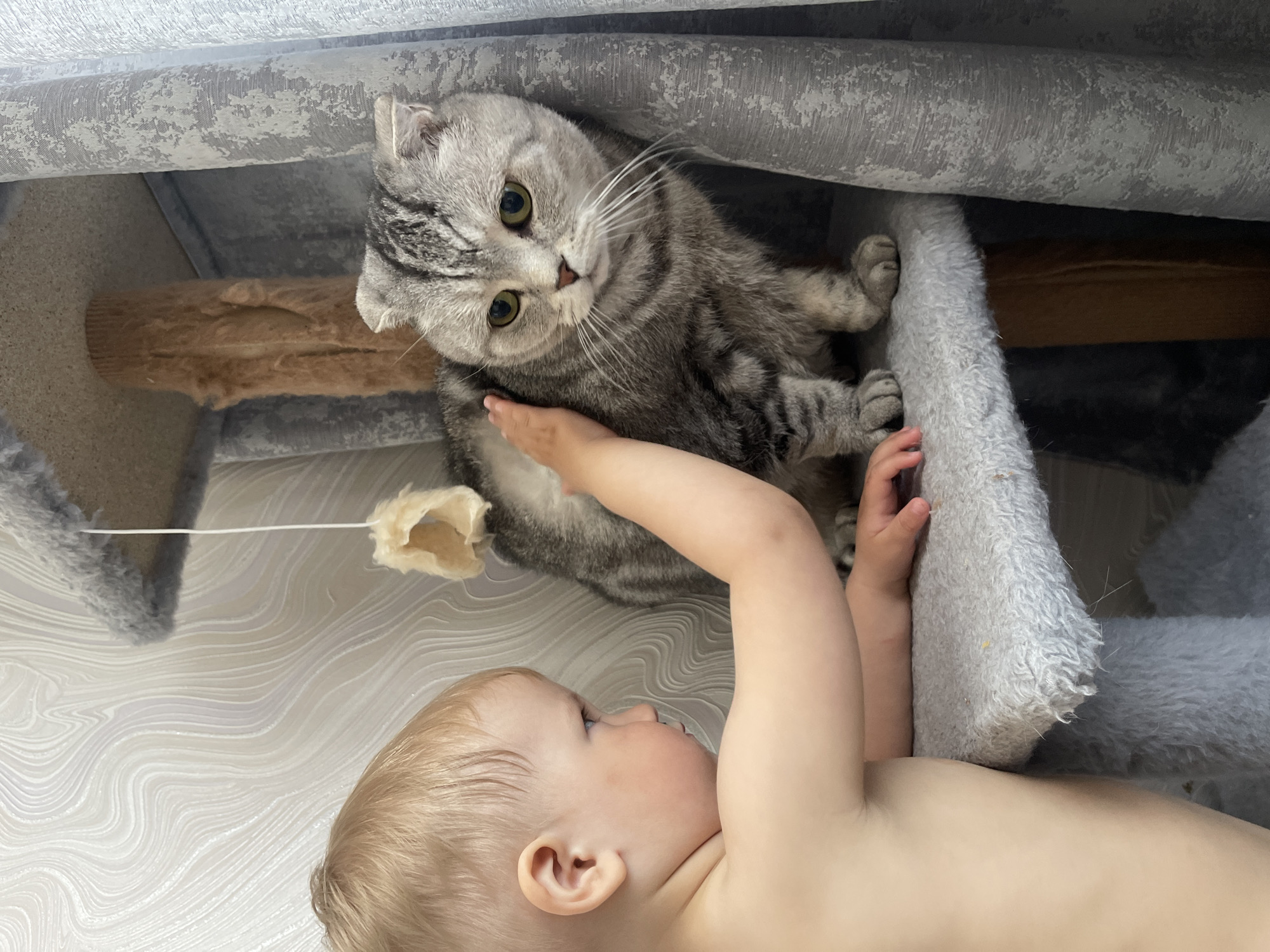 Morning moments: baby plays with cat, woman takes selfies