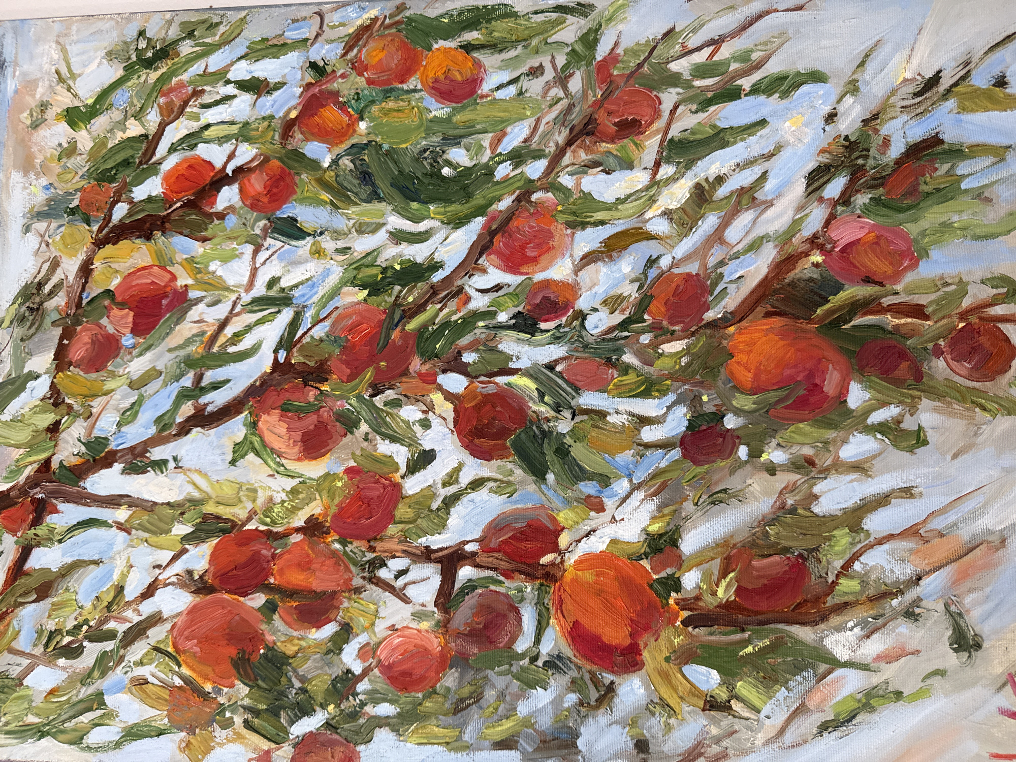 Oil paintings of fruit tree and coastal islands observed