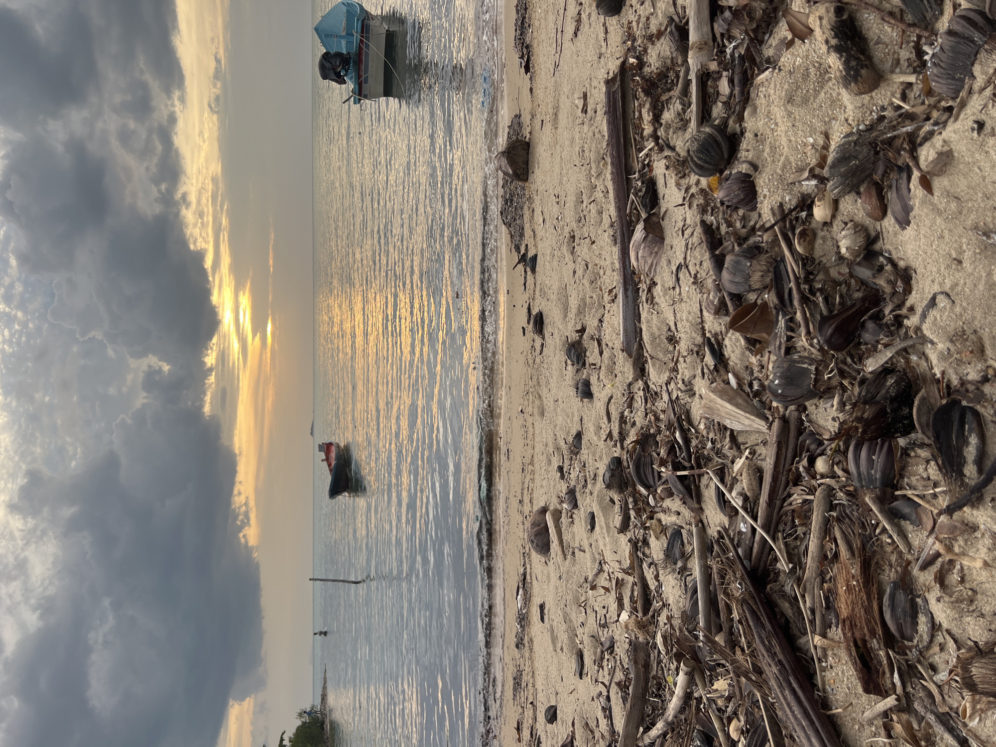 Calm coastal evening with boats, debris-strewn beach, dramatic sky
