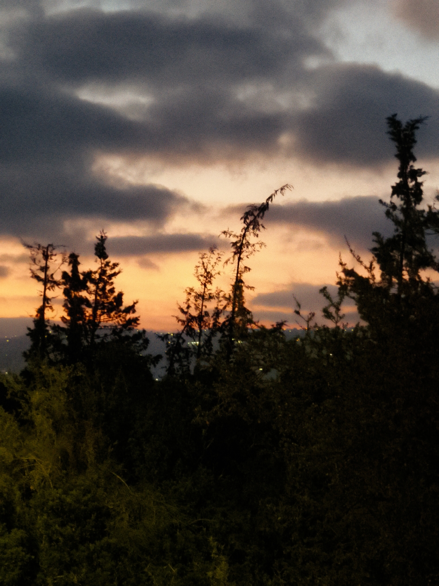 Dusk portraits and rural scenes along a fenced road in Lachish