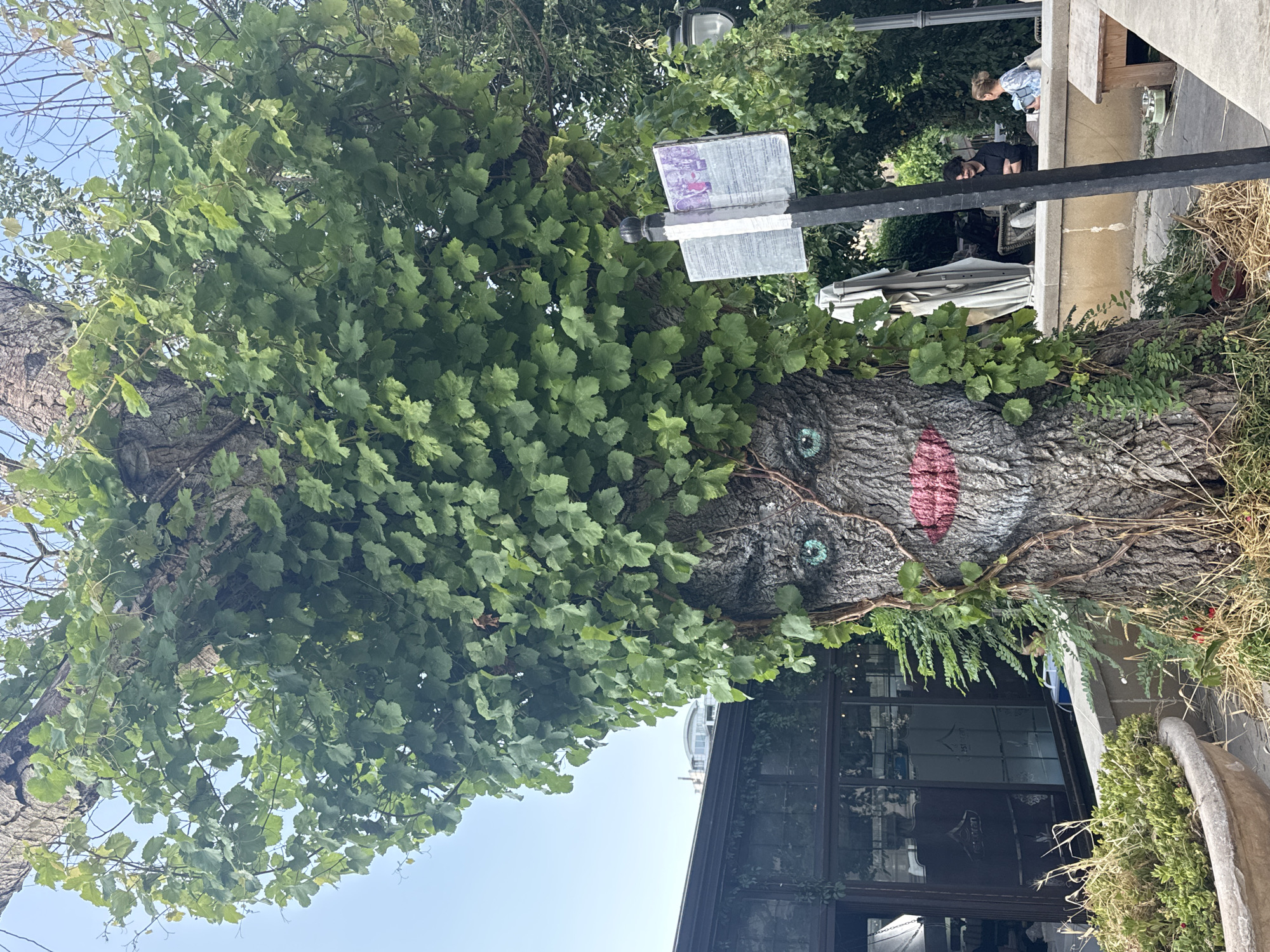Afternoon walkthrough Baku's Old City: walls, bazaars, and heritage sites