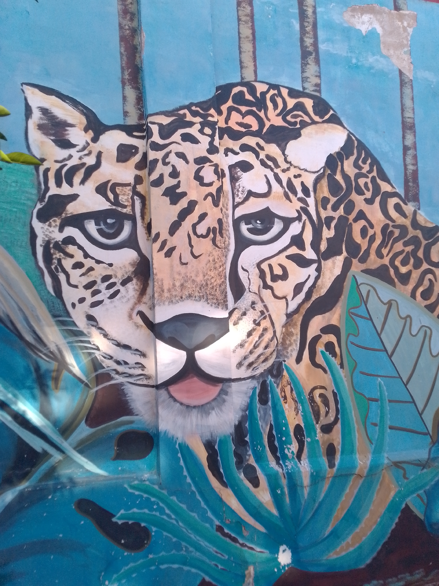 Street art and monuments documented in San Lorenzo, Paraguay