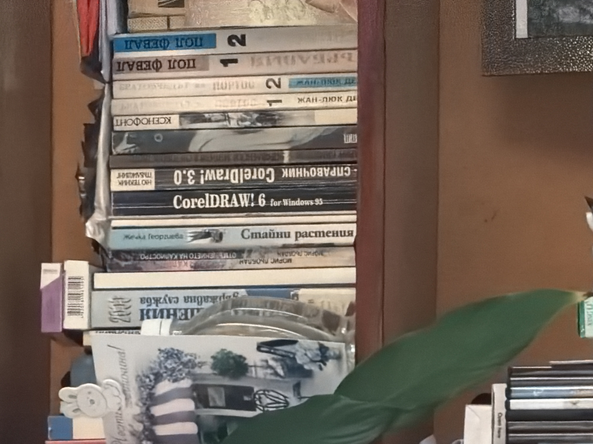 Domestic Life Documented in Velingrad Home During Spring Afternoon
