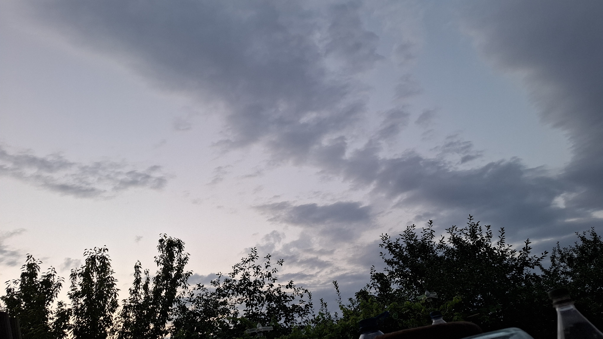 Dusk settling over Fergana City, clouds and tree silhouettes
