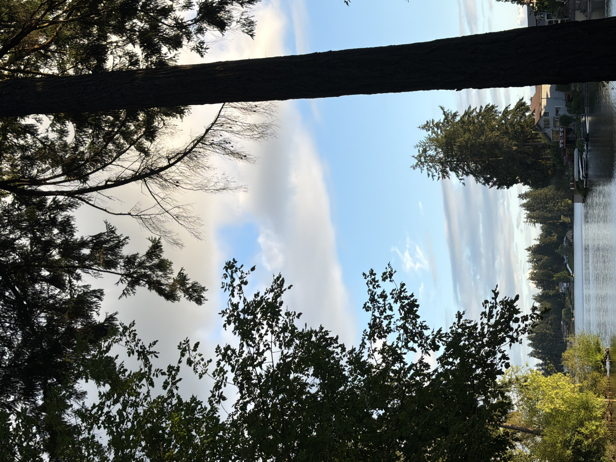 Quiet lakeside forest, multiple angles on still water and trees