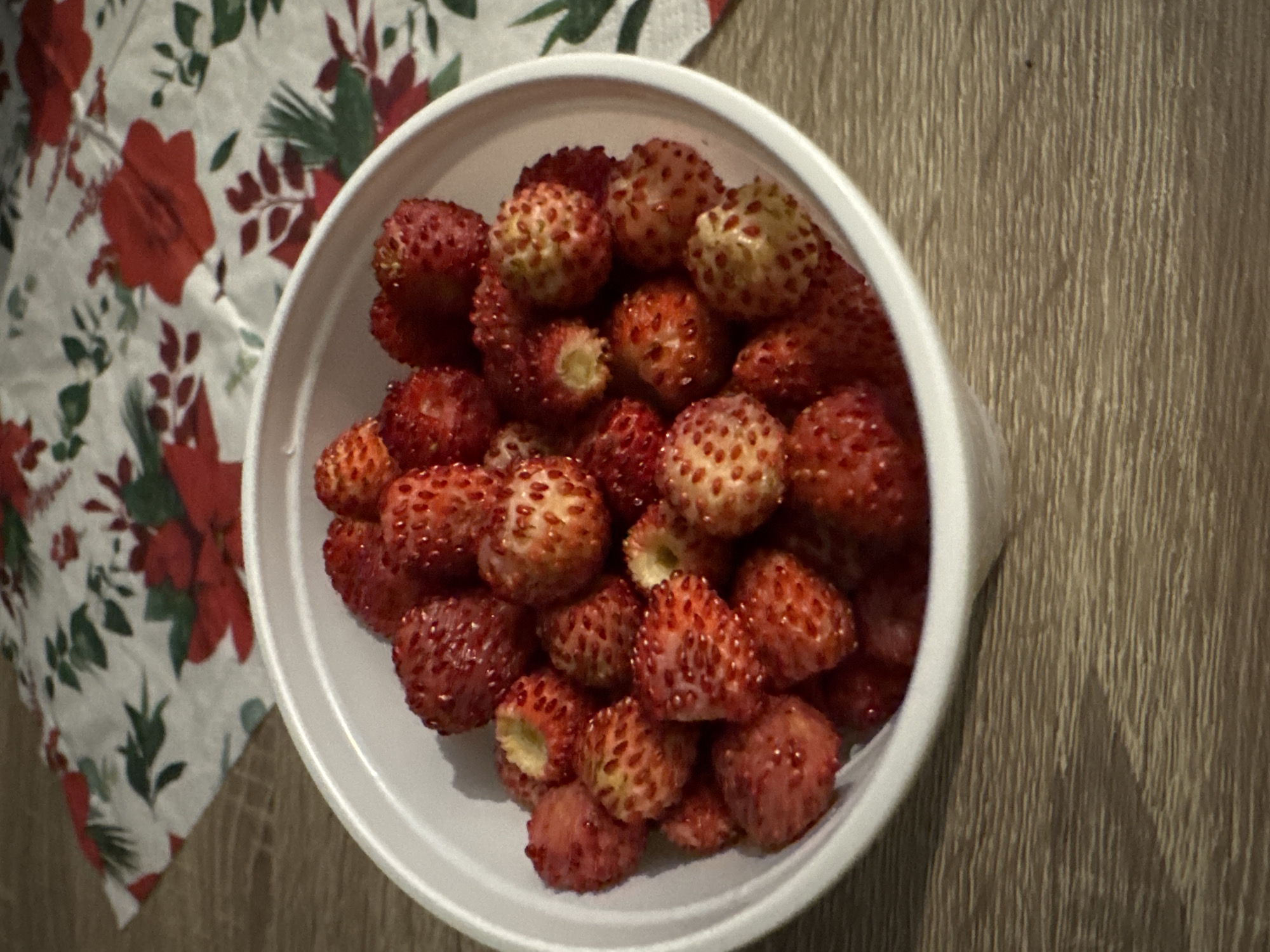 Wild strawberries in a cup, Boreti, Montenegro