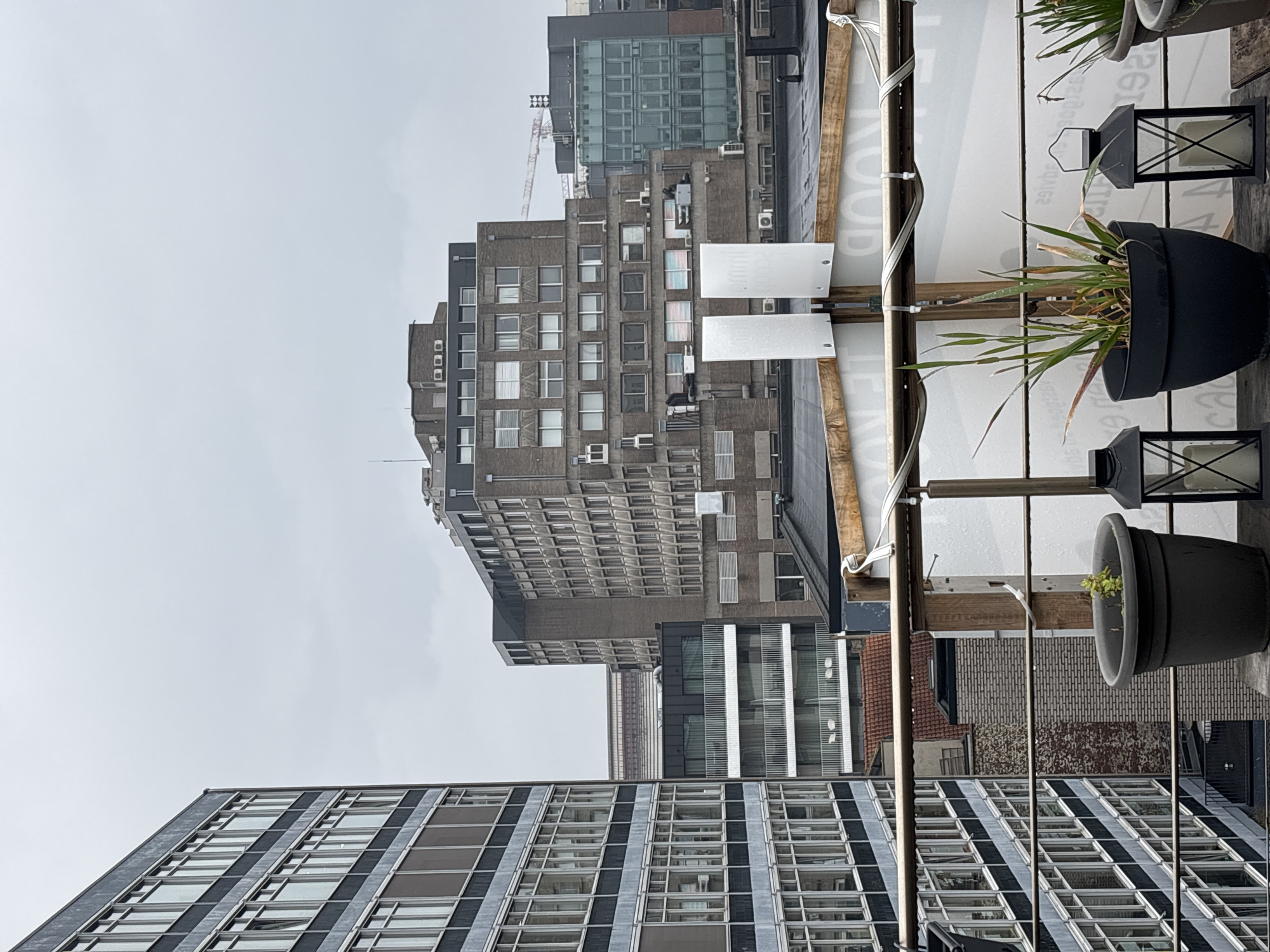 Morning moments in Antwerp: architecture and cat spotted
