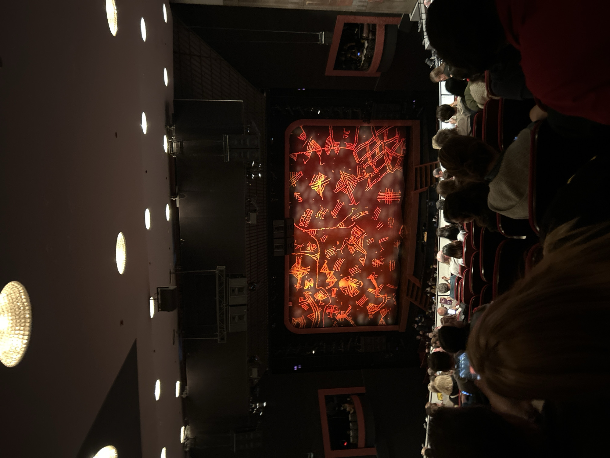 Theatergoer documents Lion King performance at Minskoff Theatre