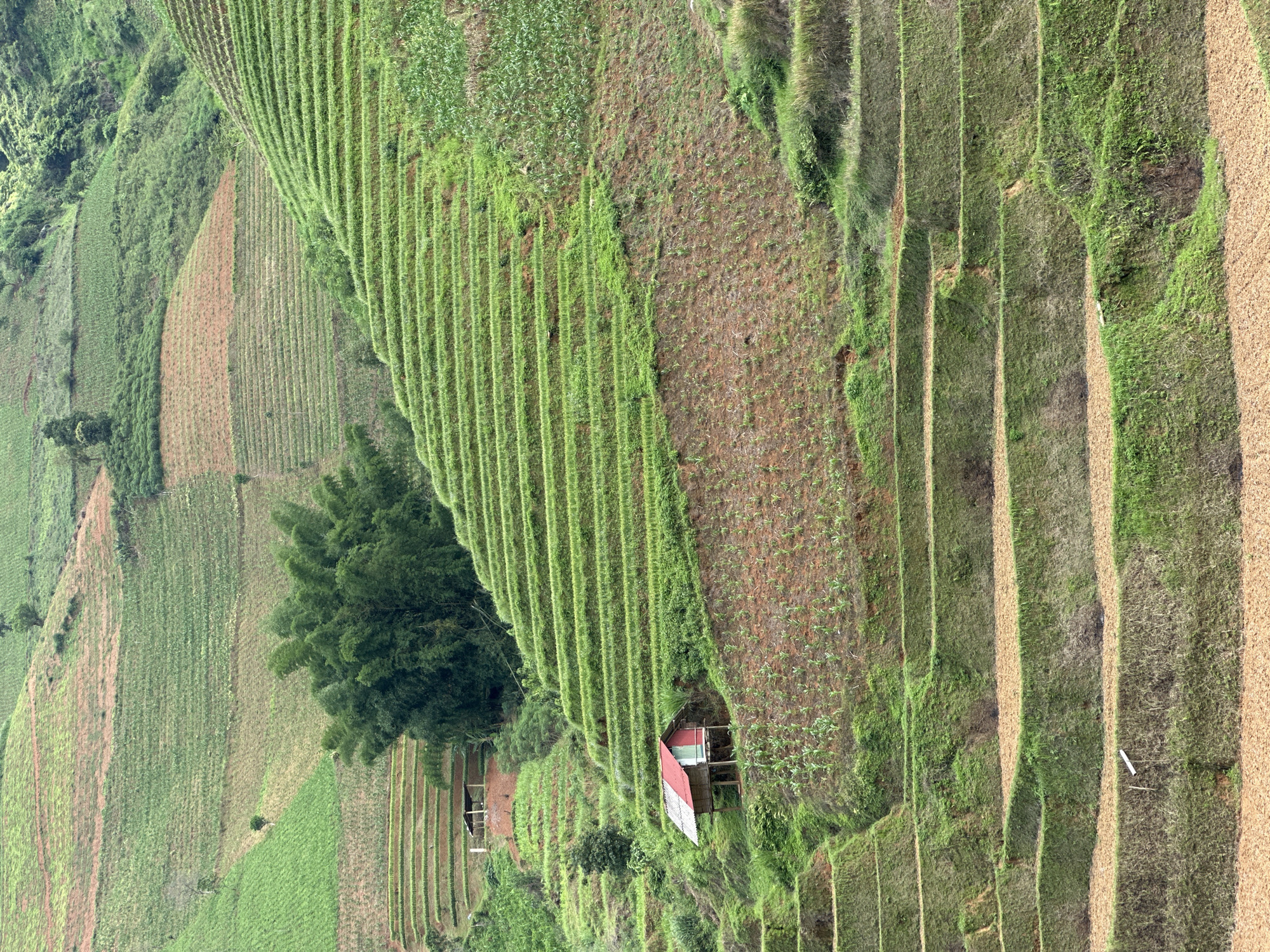 Terraced fields and travelers documented in mountainous Vietnam