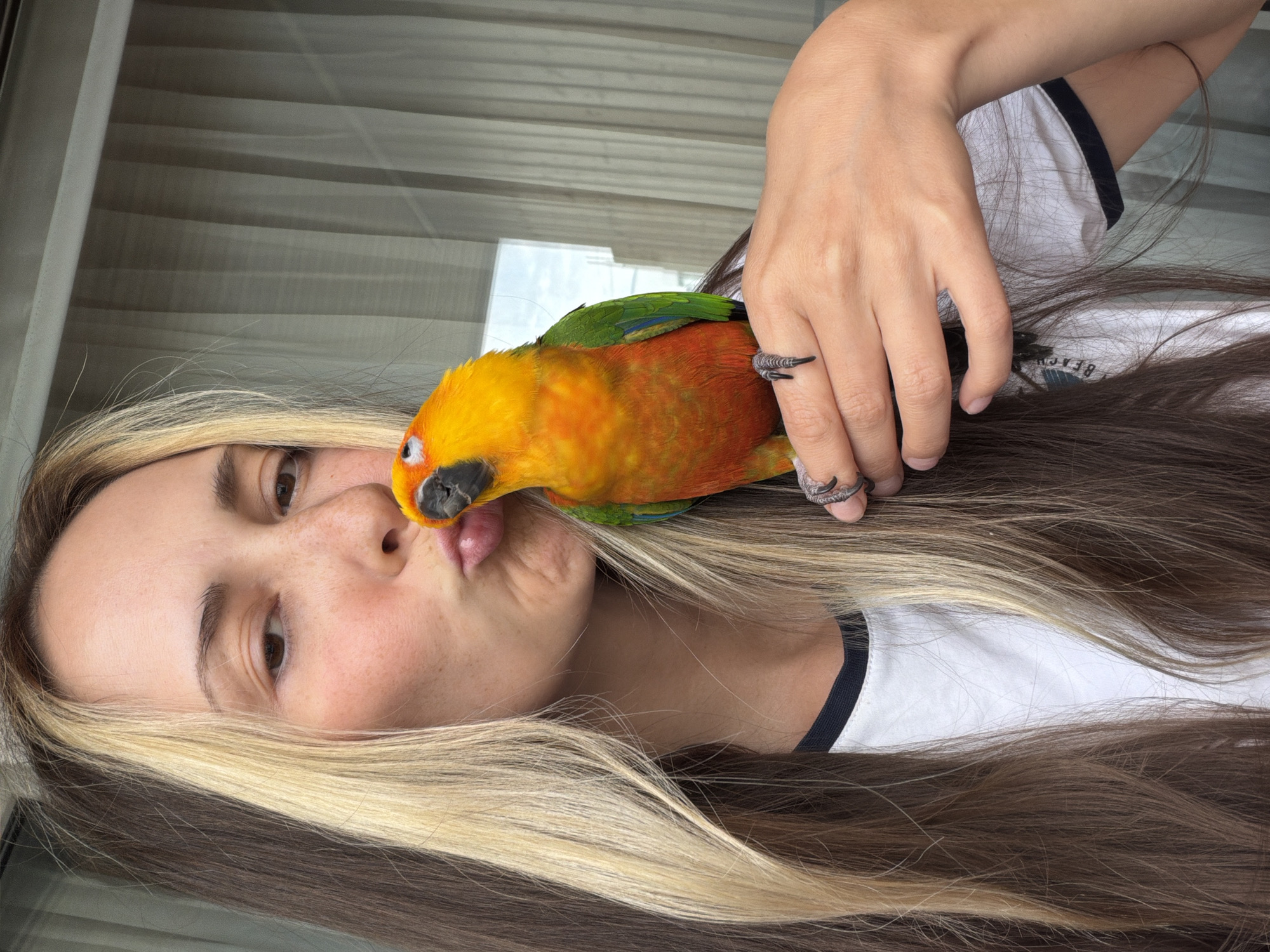 Sun conure parrot living its best life in a Khimki apartment