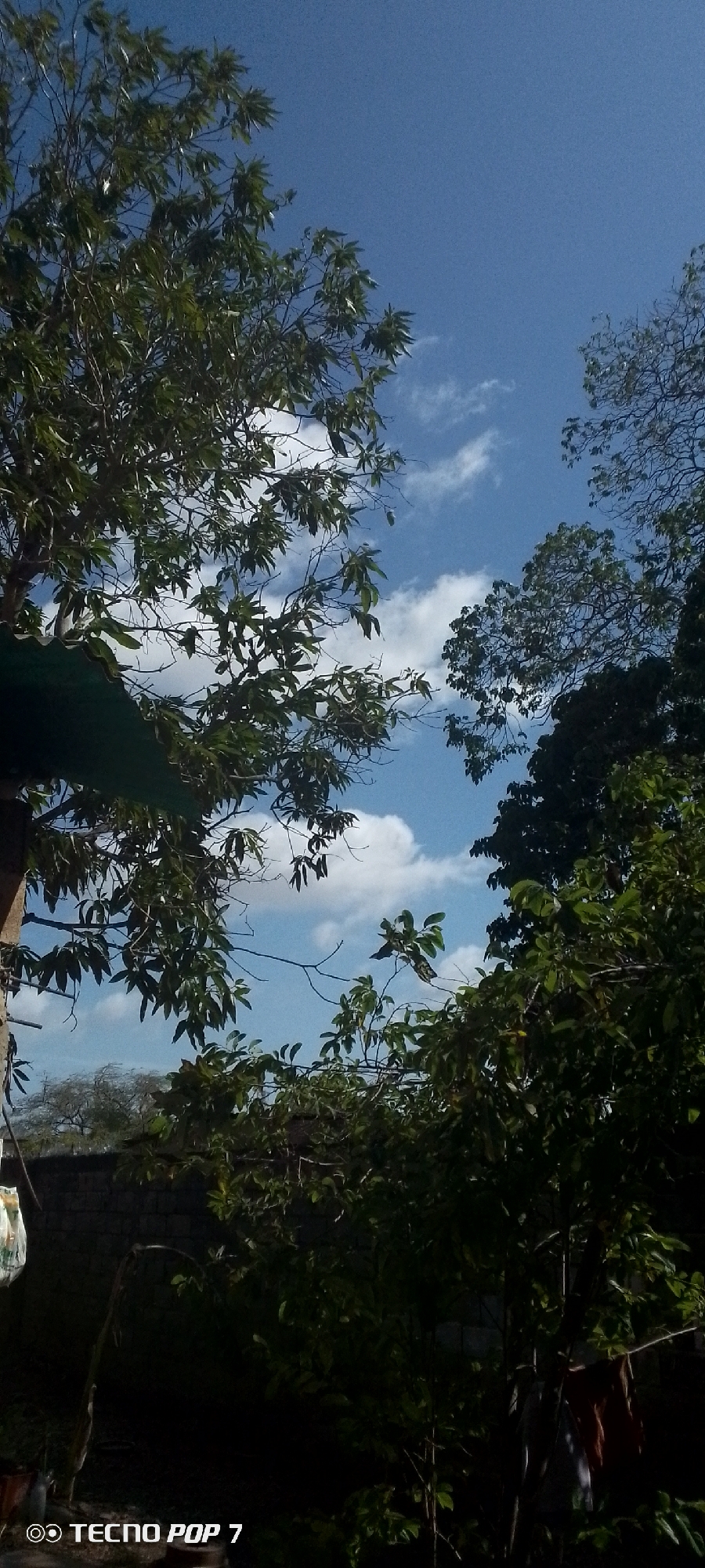 Afternoon sky-gazing and street scenes in Altagracia, Venezuela