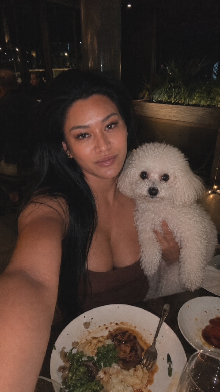 Dinner for two in Moscow — one of them a poodle
