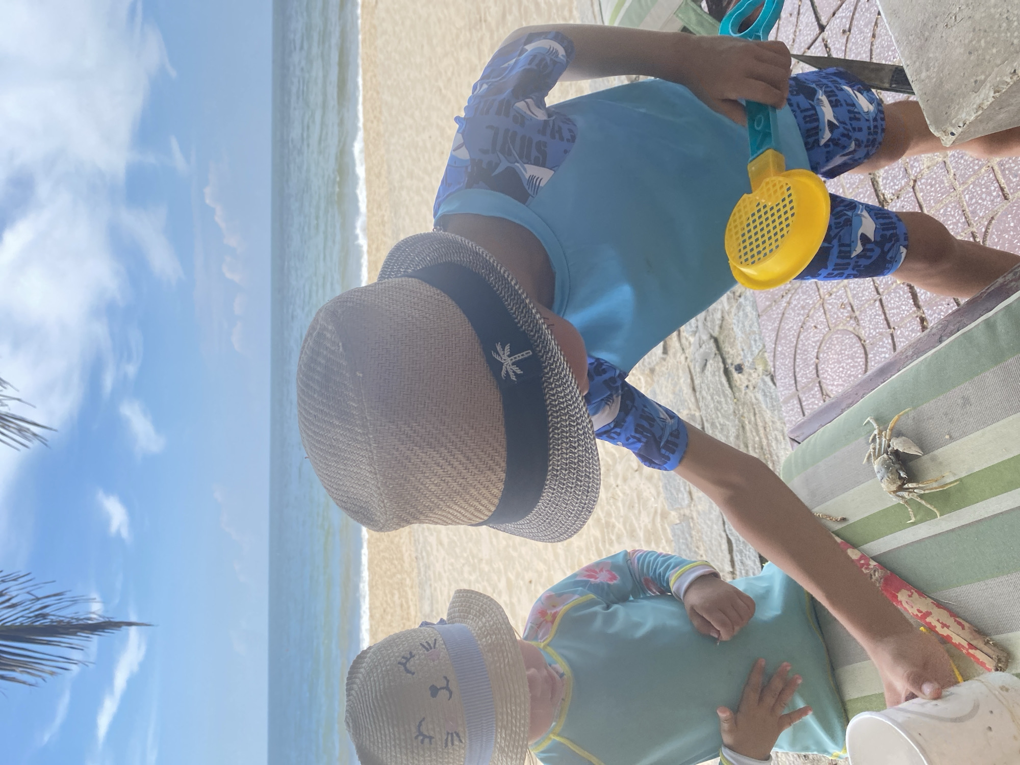 Kids and a crab at the Mũi Né shore