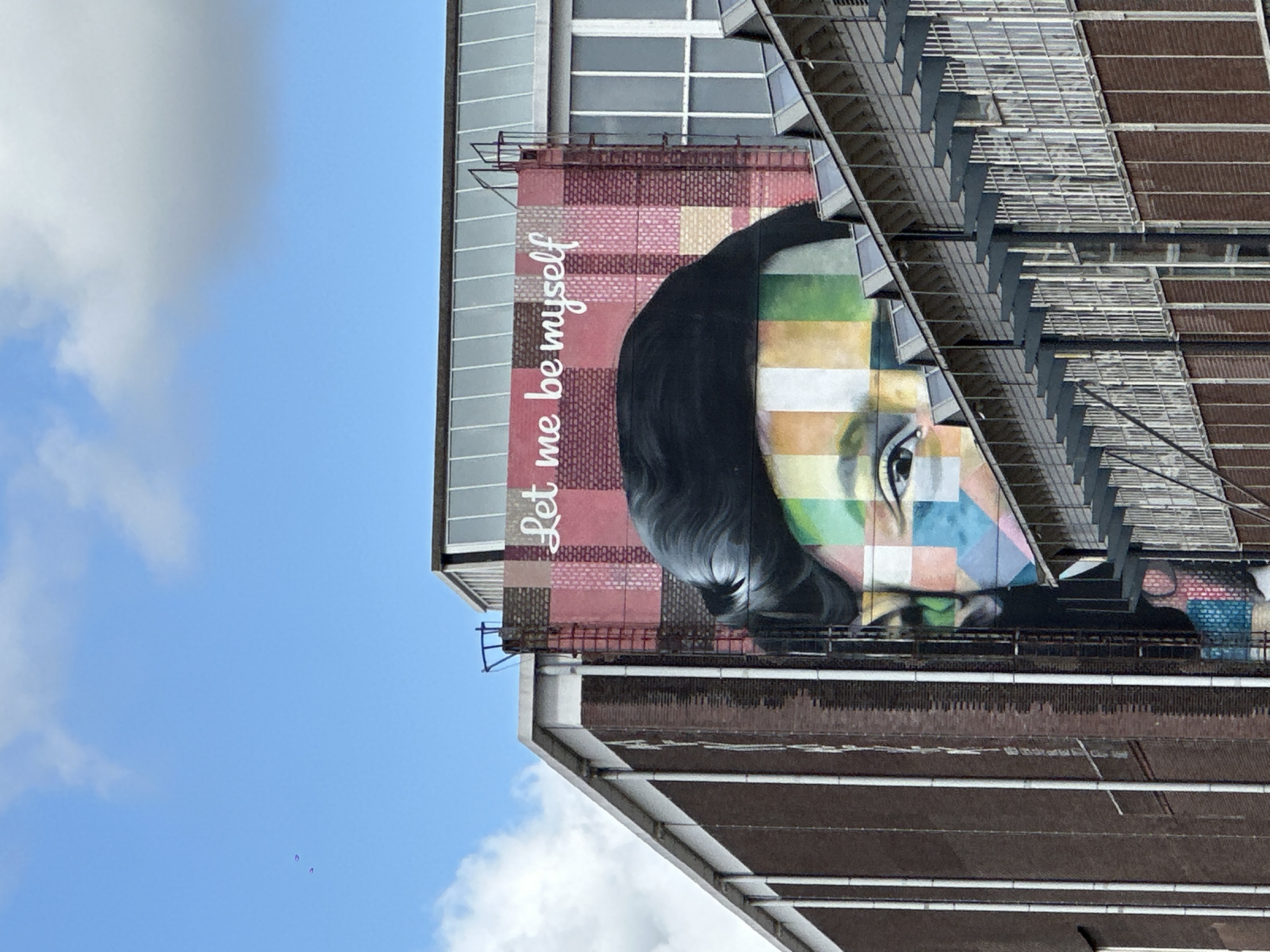 Amsterdam waterfront with street art and modern architecture