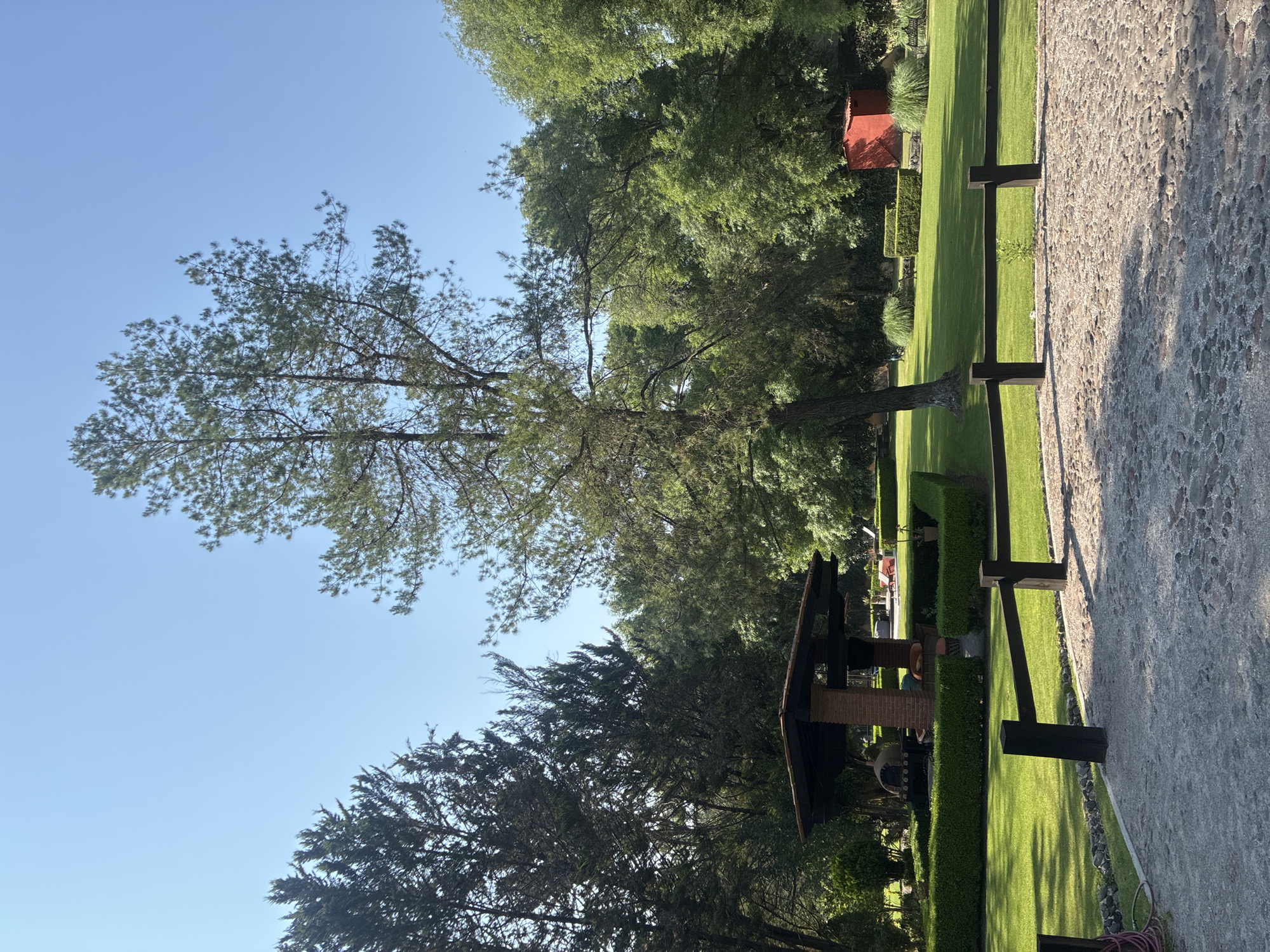 Quiet afternoon documented in Cañada de Madero residential area