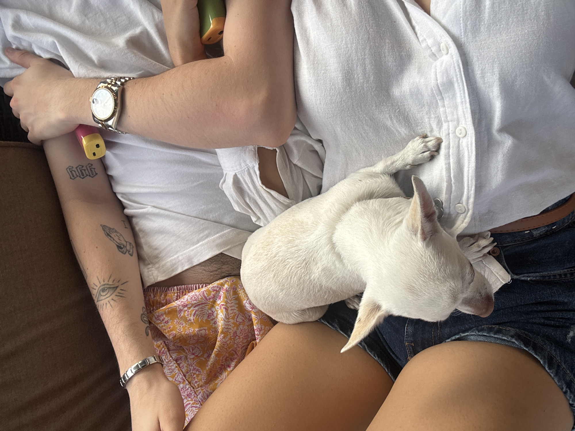 Couple relaxes with small dog on outdoor patio