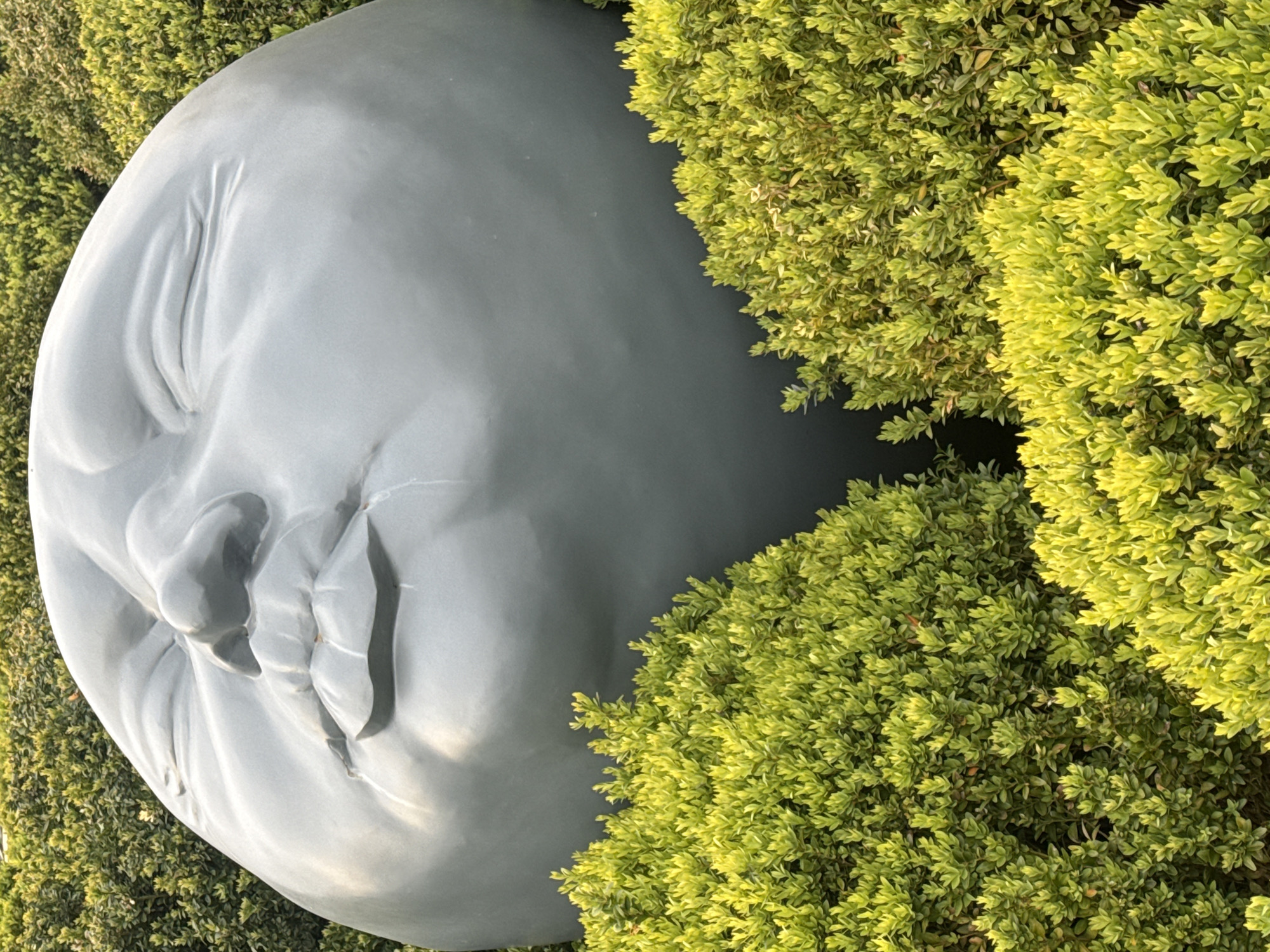 Moon-like face sculpture observed in Krasnodar, Russia