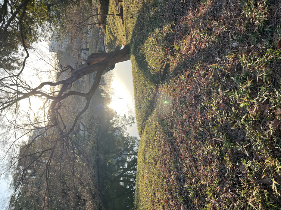 Morning waterside scenes documented in Bunkyō, Japan