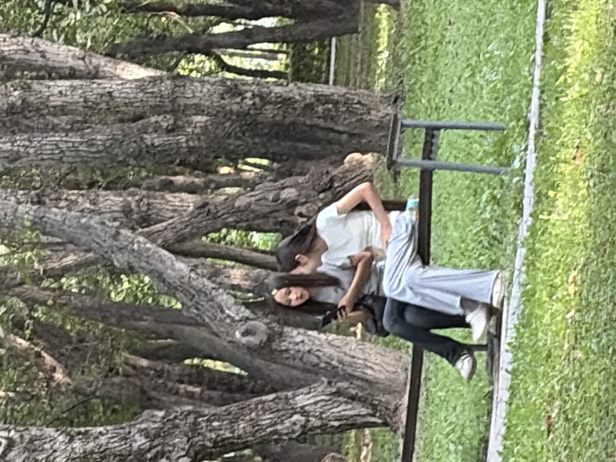 Lazy afternoon in a city park and surrounding streets