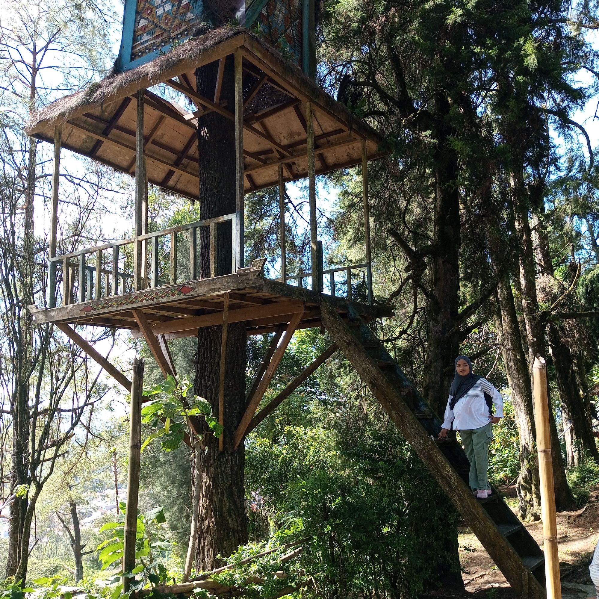 Rustic wooden treehouse built around a tree in Berastagi highlands