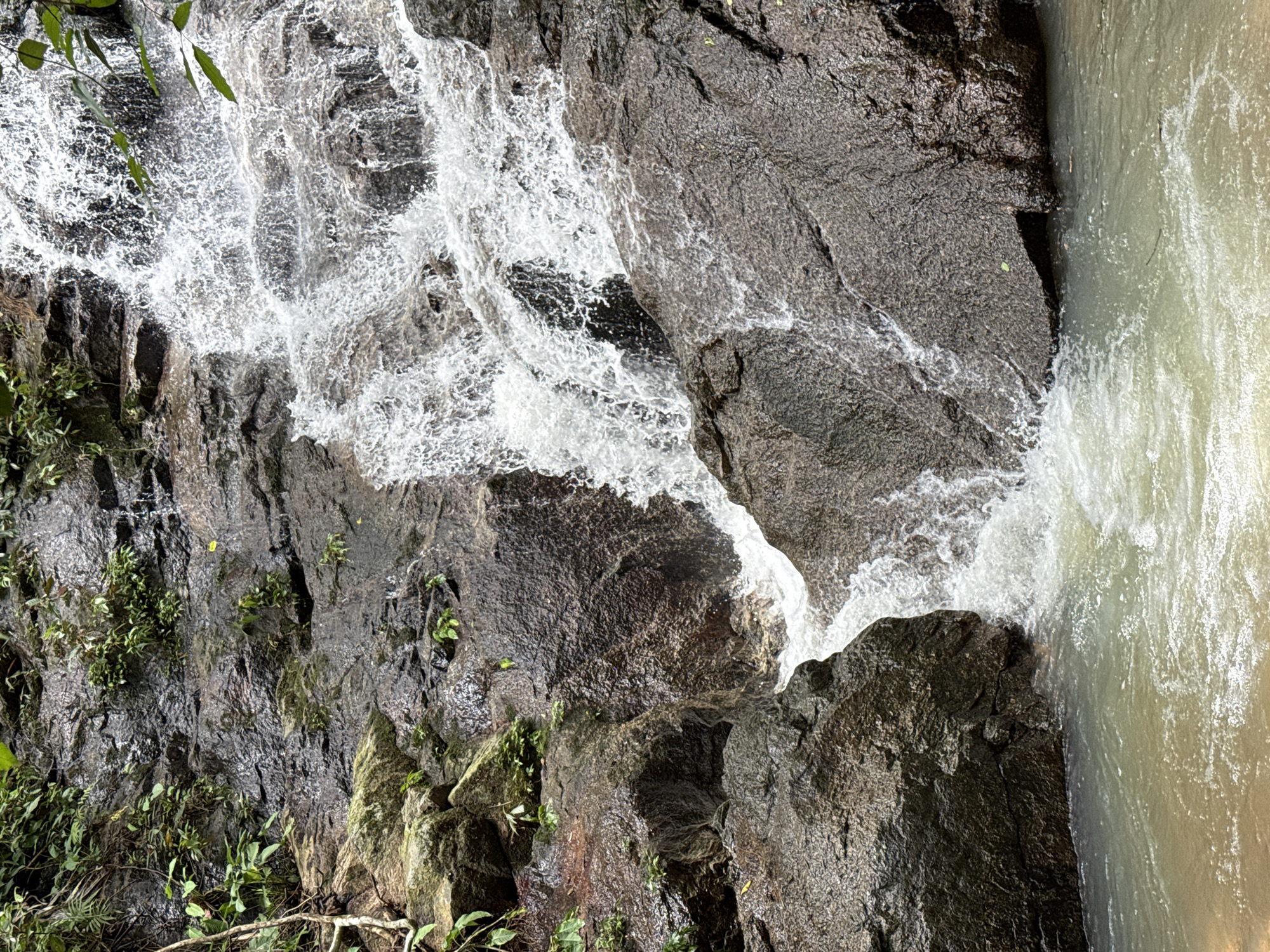 Waterfall and wildlife at a mossy Kathu nature spot