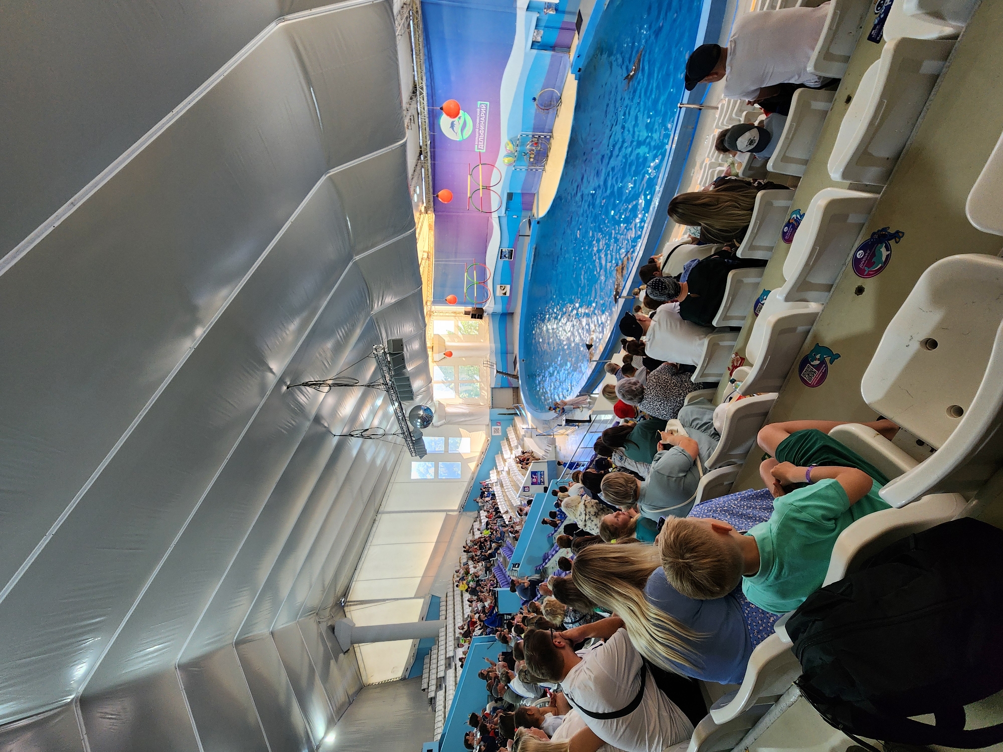 Dolphin shows and penguin exhibit documented at Sochi aquarium