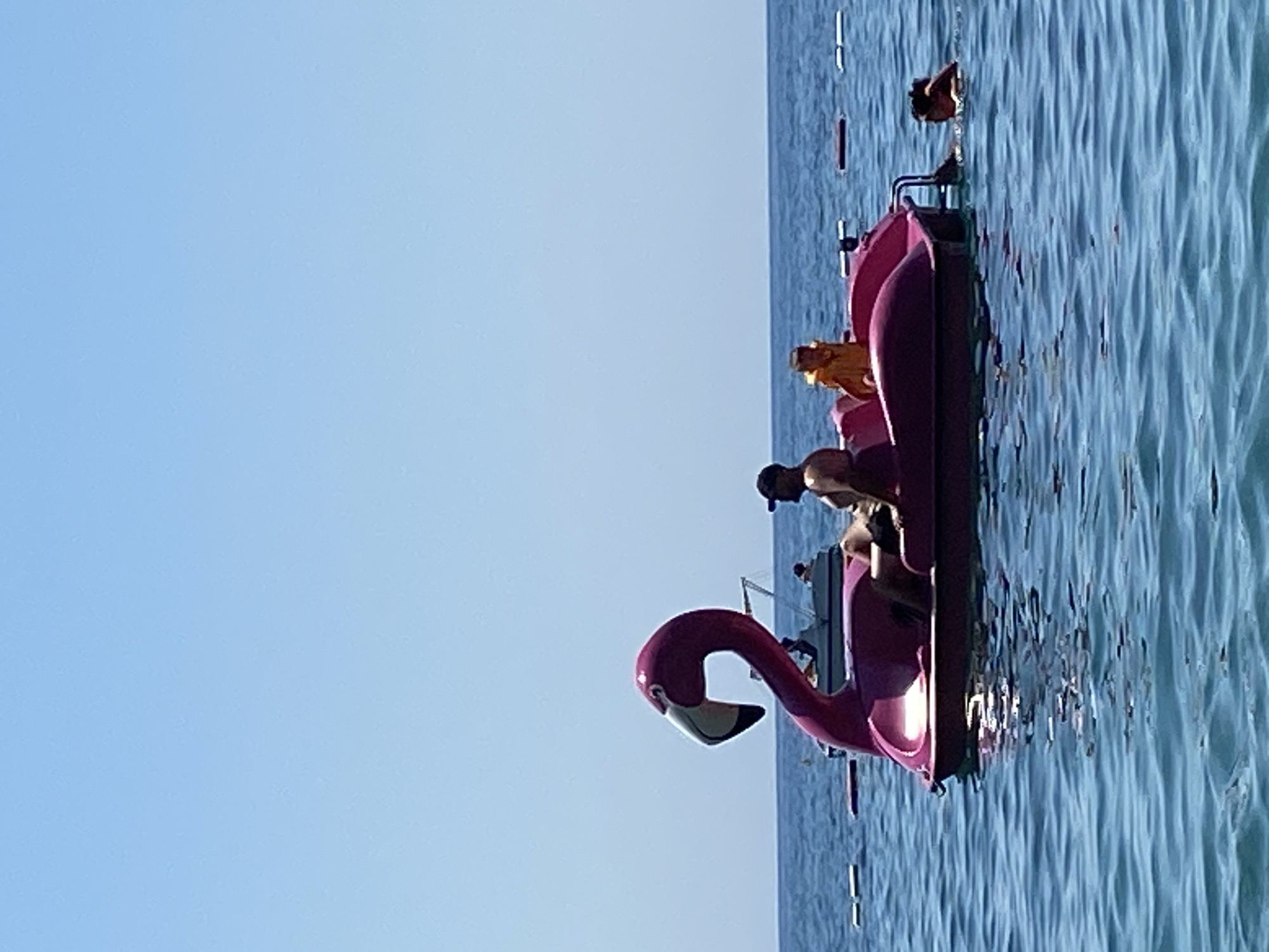 Flamingo paddle boats dot the sunny Budva waterfront