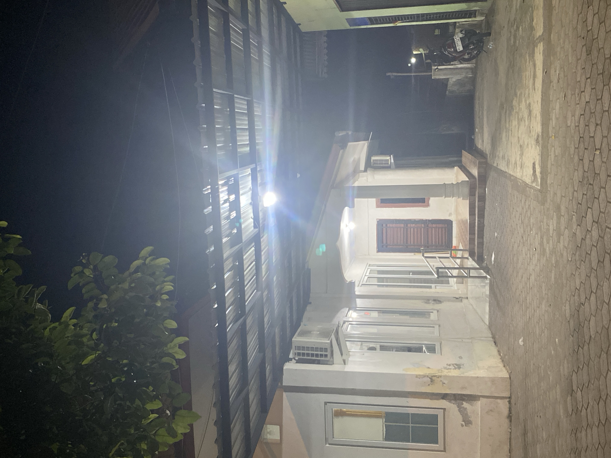 Nighttime walkway with street light and hexagonal pavers