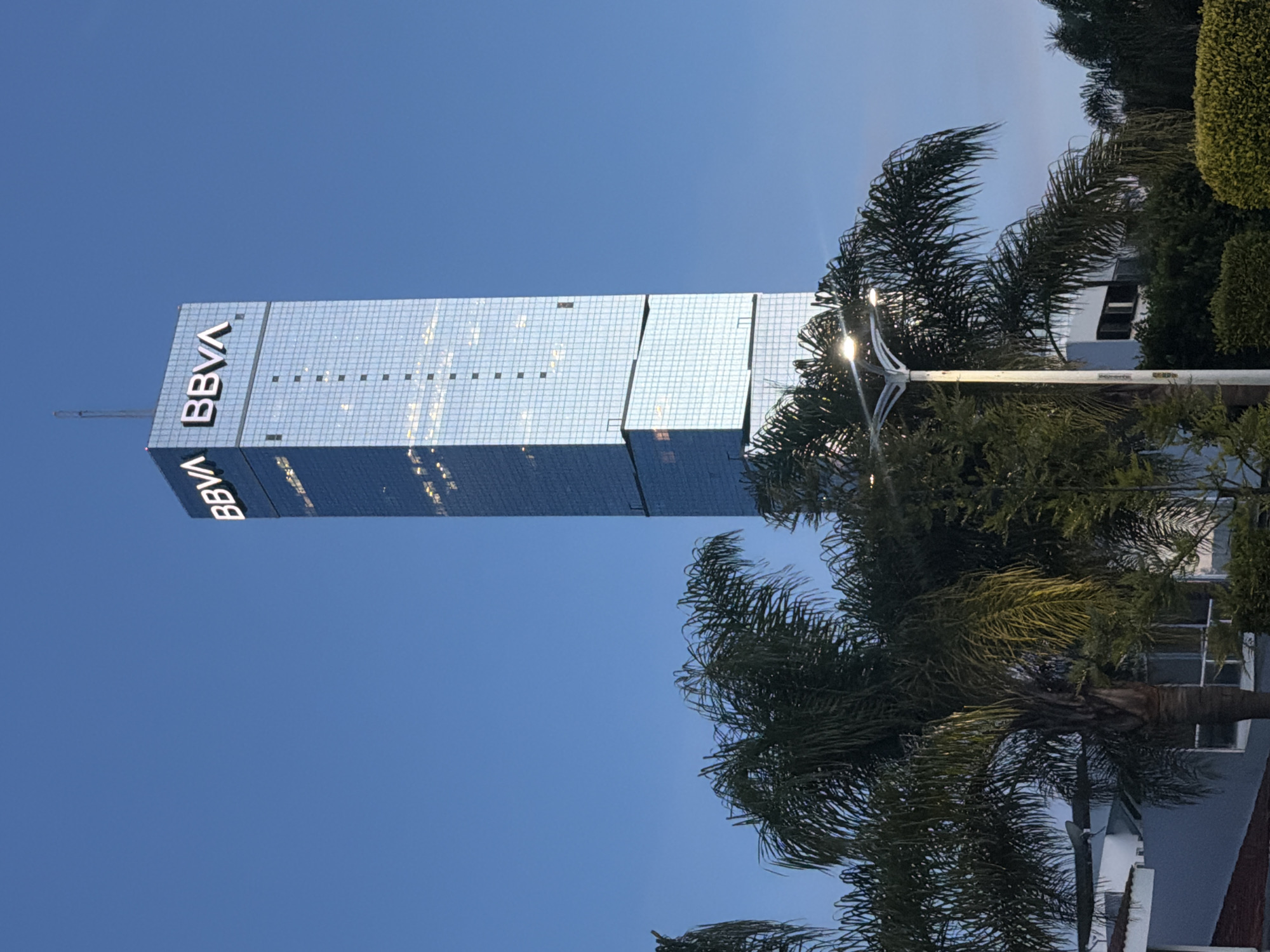 BBVA Tower exterior and a ferret sighting in Puebla