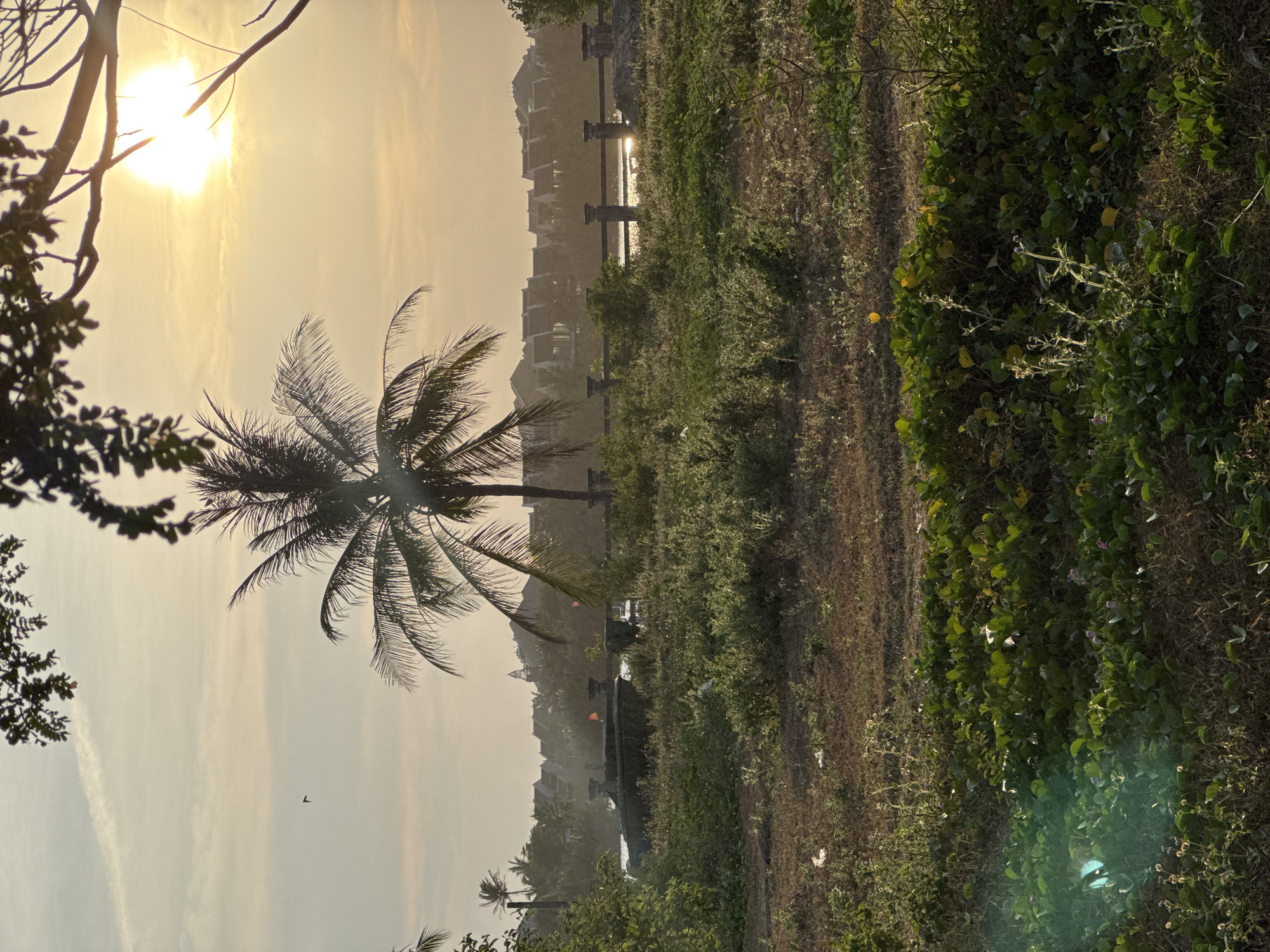 Hazy coastal morning scene documented in Đà Nẵng, Vietnam