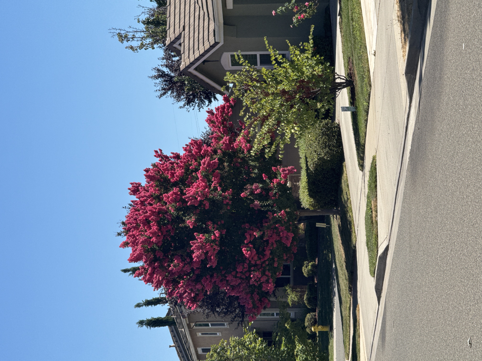 Roseville, United States of America