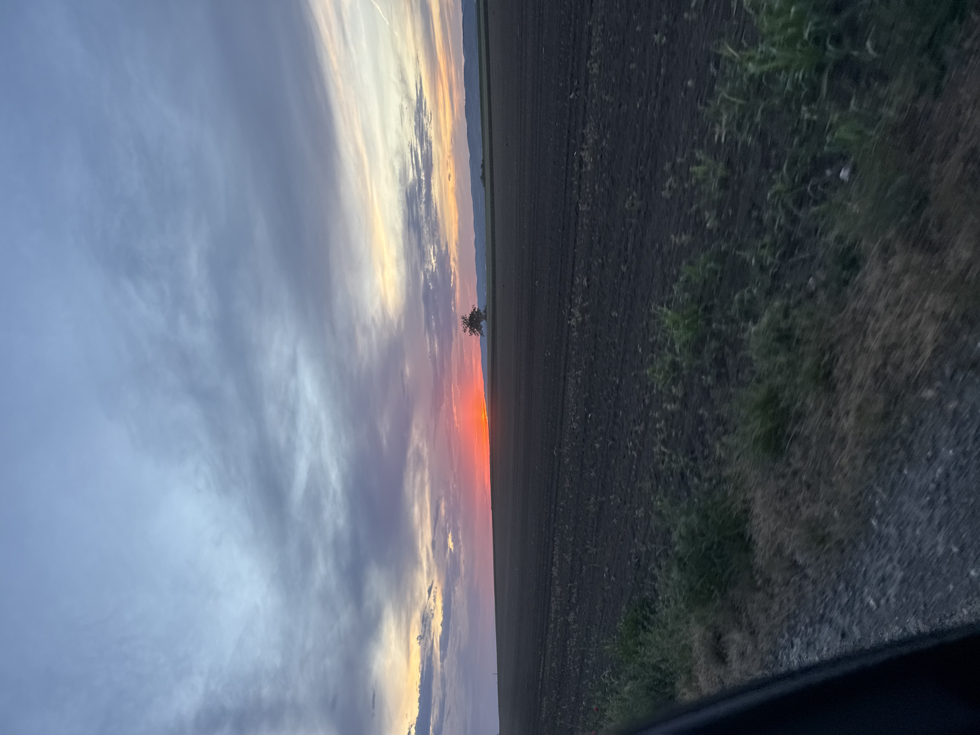 Sunset observed over field in Irig Municipality, Serbia