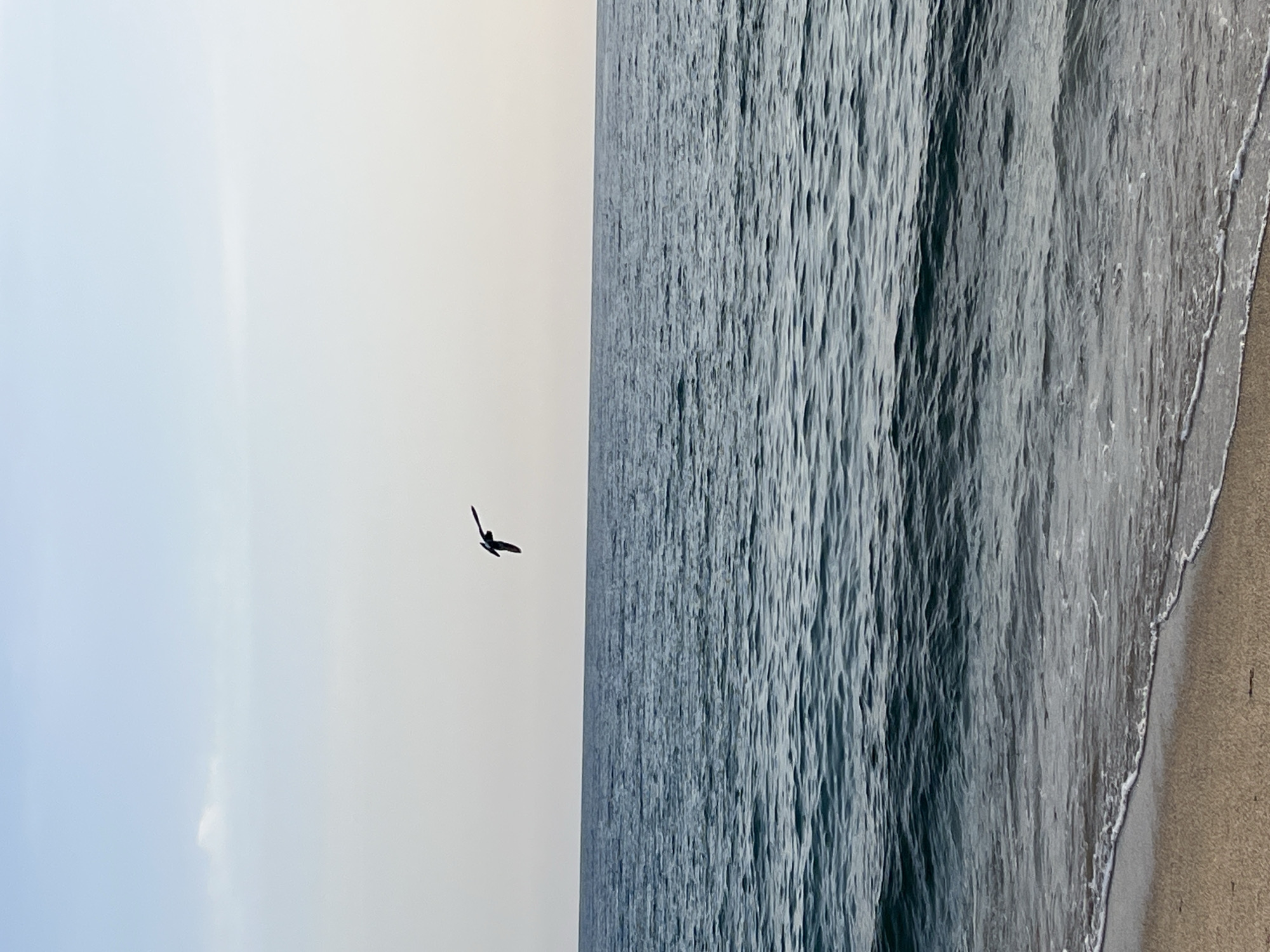 Man enjoys quiet fishing moment on Alanya beach