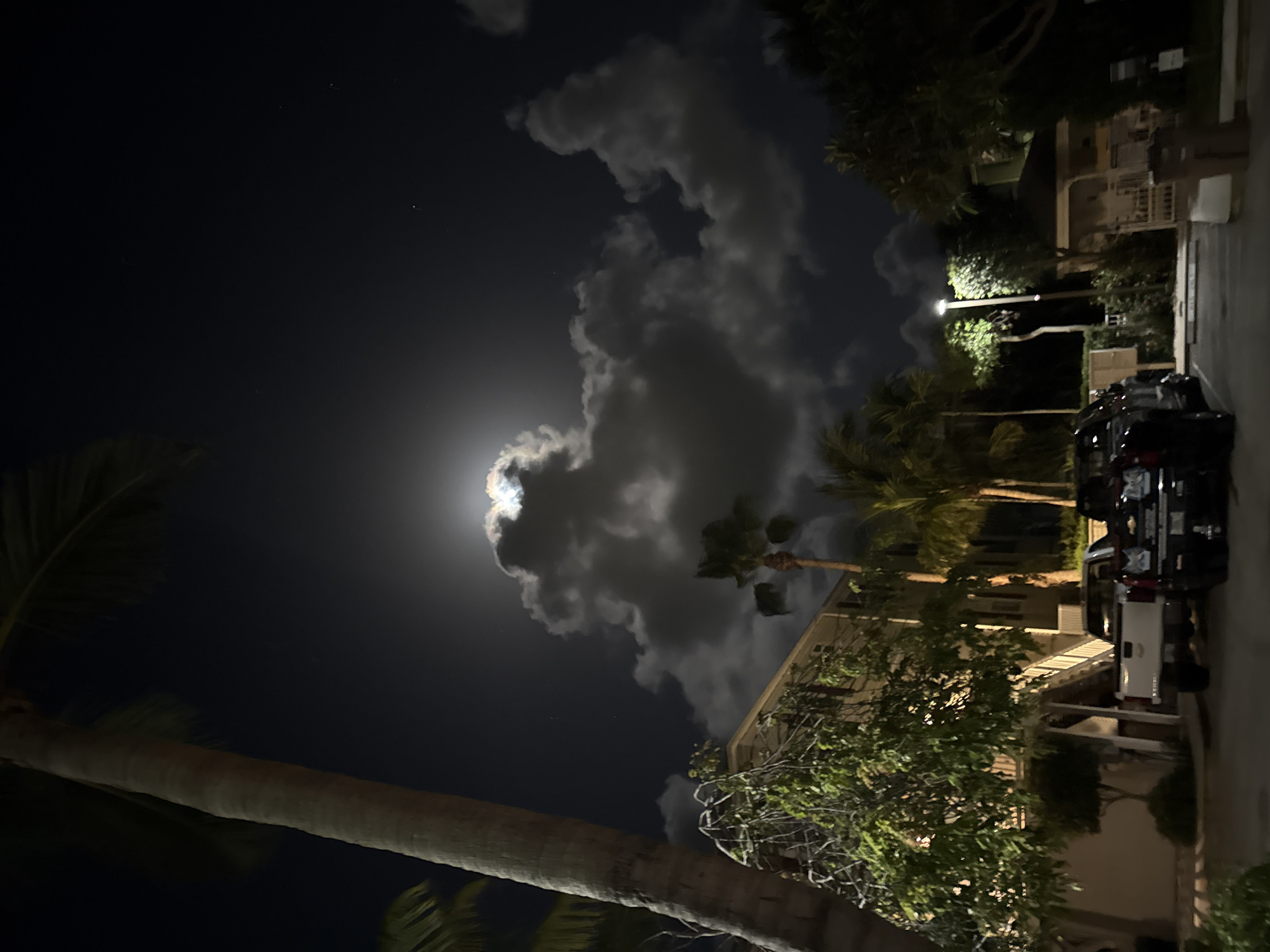 Moonlit palm tree and cloudy night sky on Stock Island