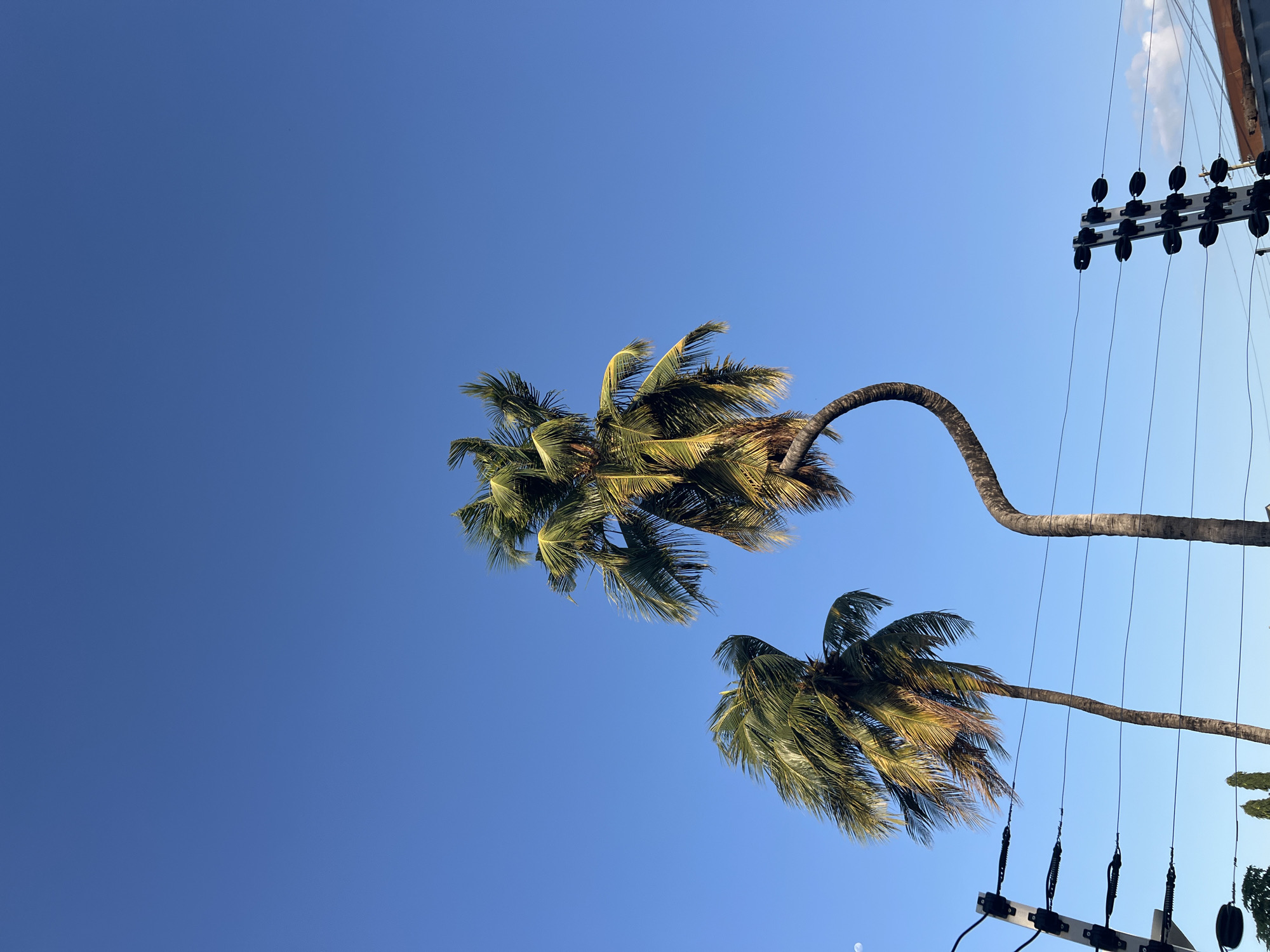 Street-level snapshots of Dar es Salaam on a clear afternoon