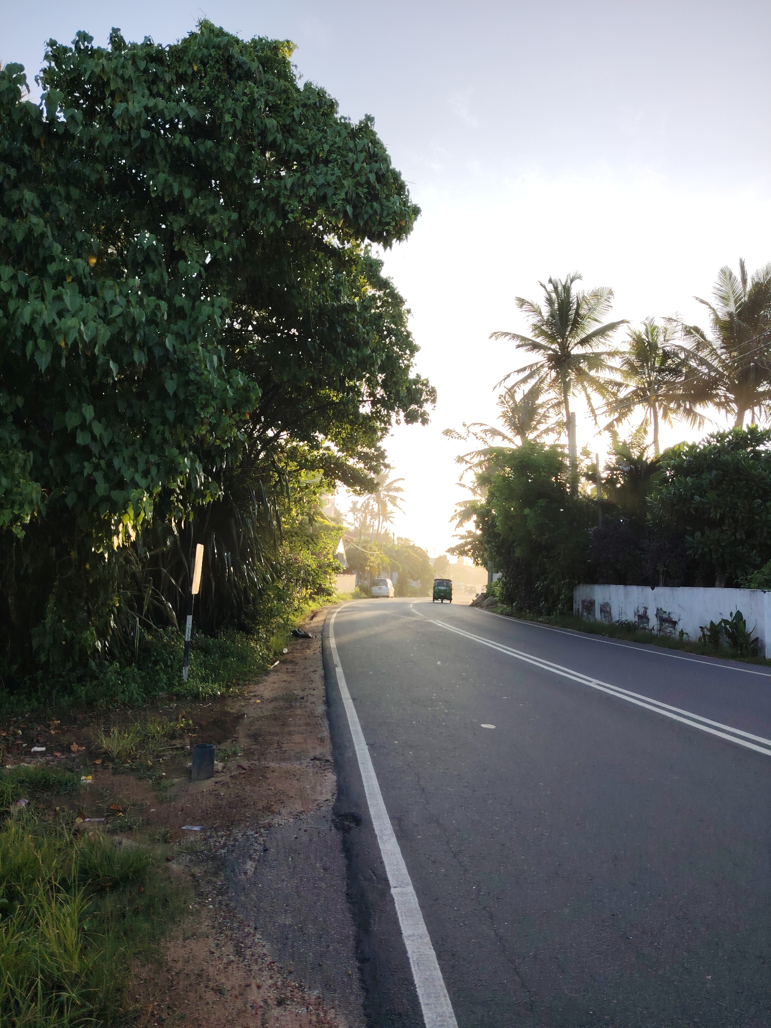 White car travels tree-lined road in Ahangama during golden hour