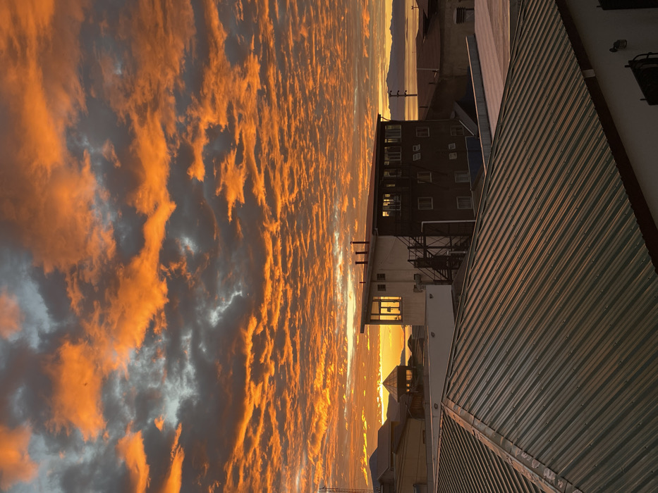 Cat watches dramatic sunset from Ushuaia windowsill