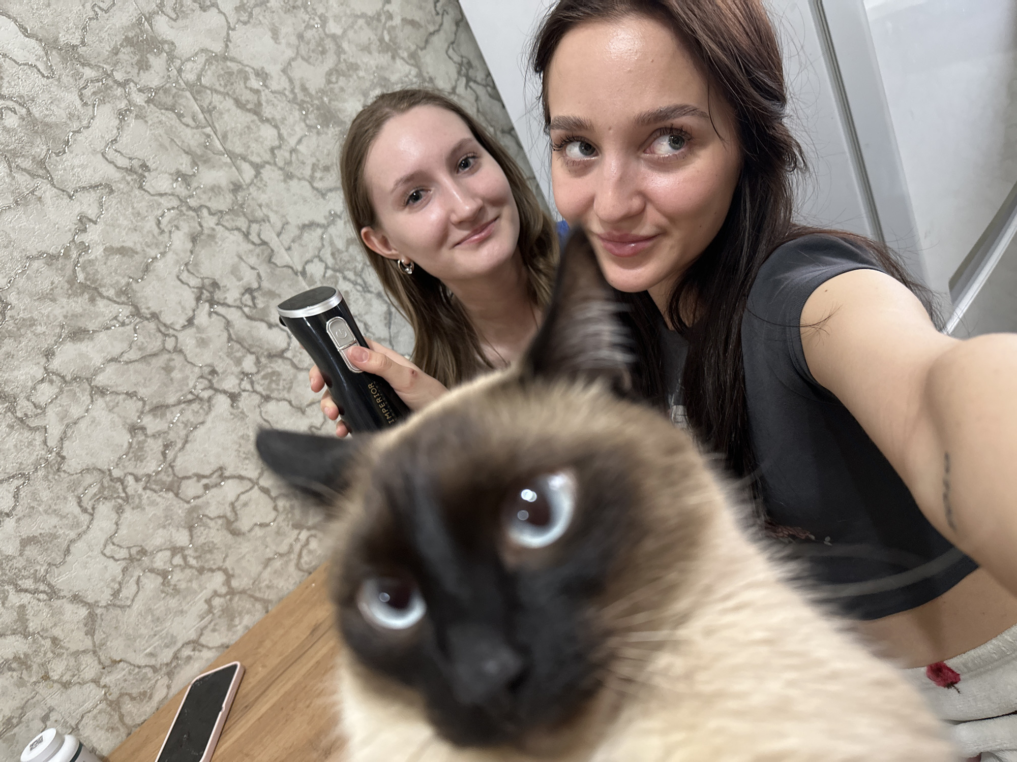 Women photograph hair grooming session with Siamese cat present
