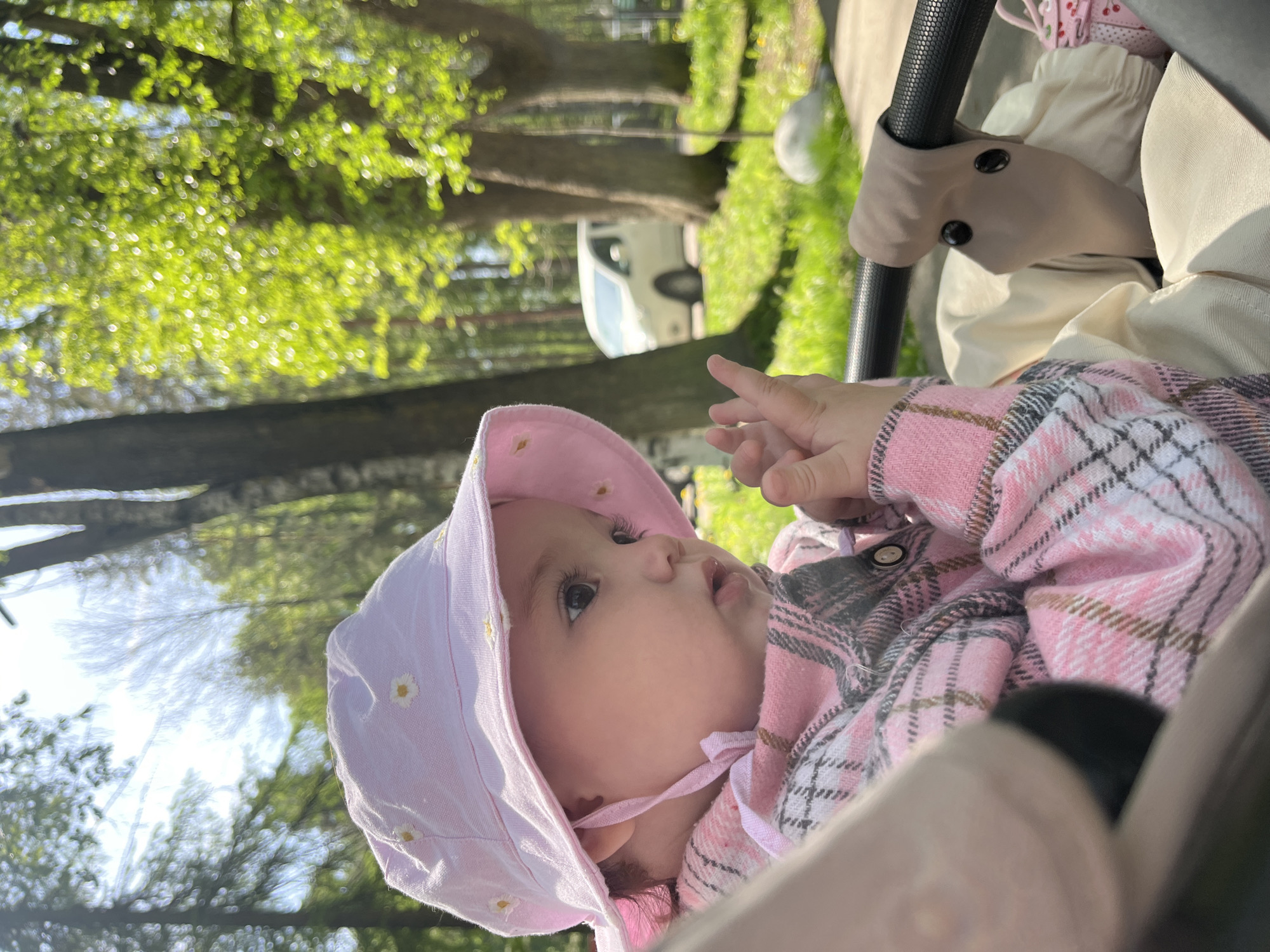 Baby stroller walk captured in Shushary park setting