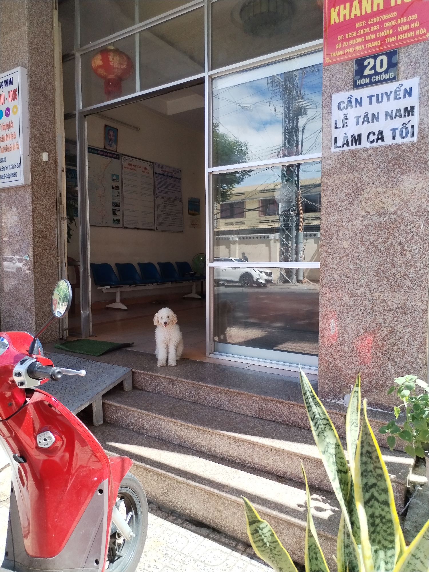 Daily life snapshots captured across Bac Nha Trang Ward Vietnam